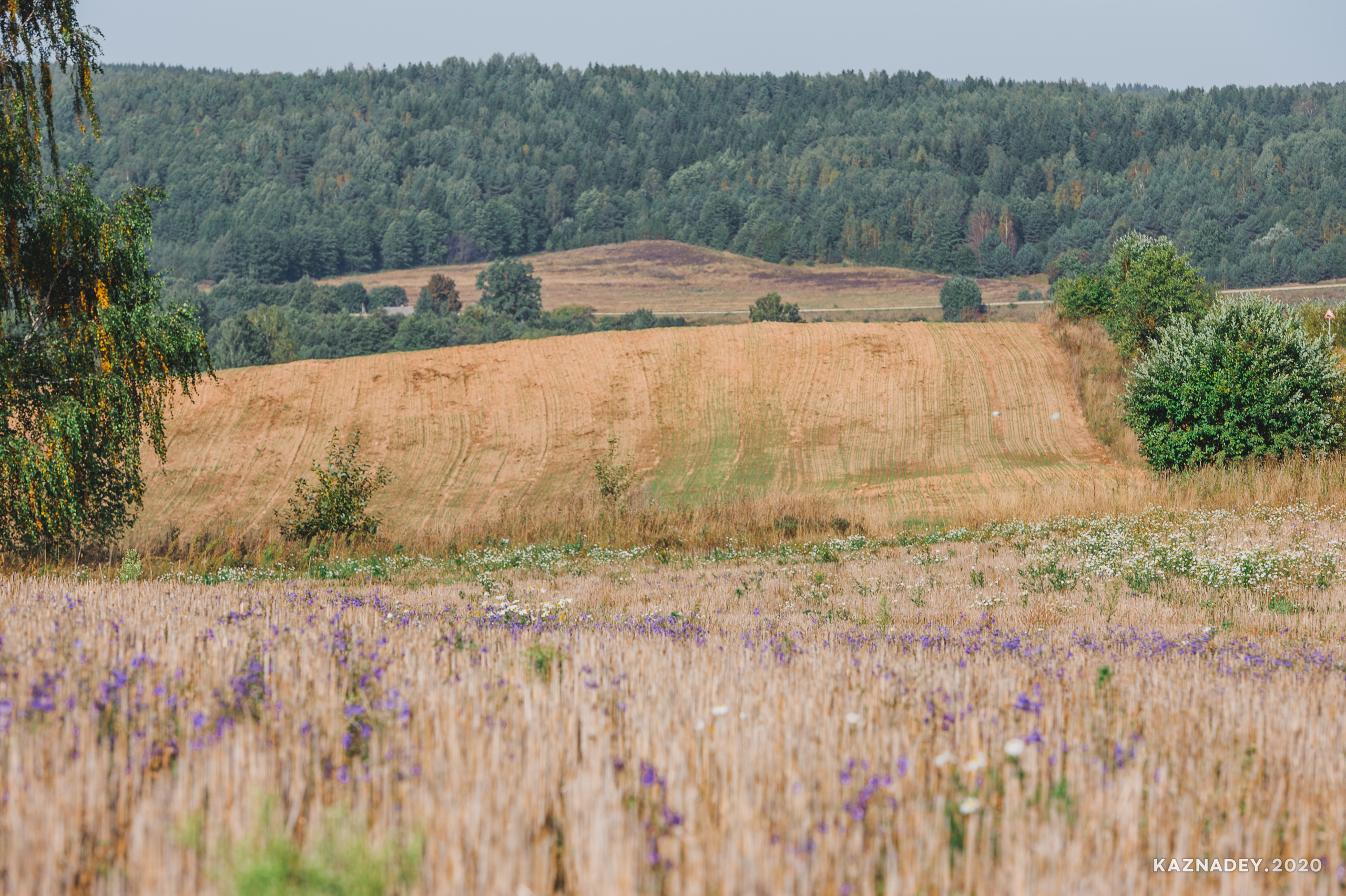 Дорога тишины, Алексей Казнадей, kaznadey