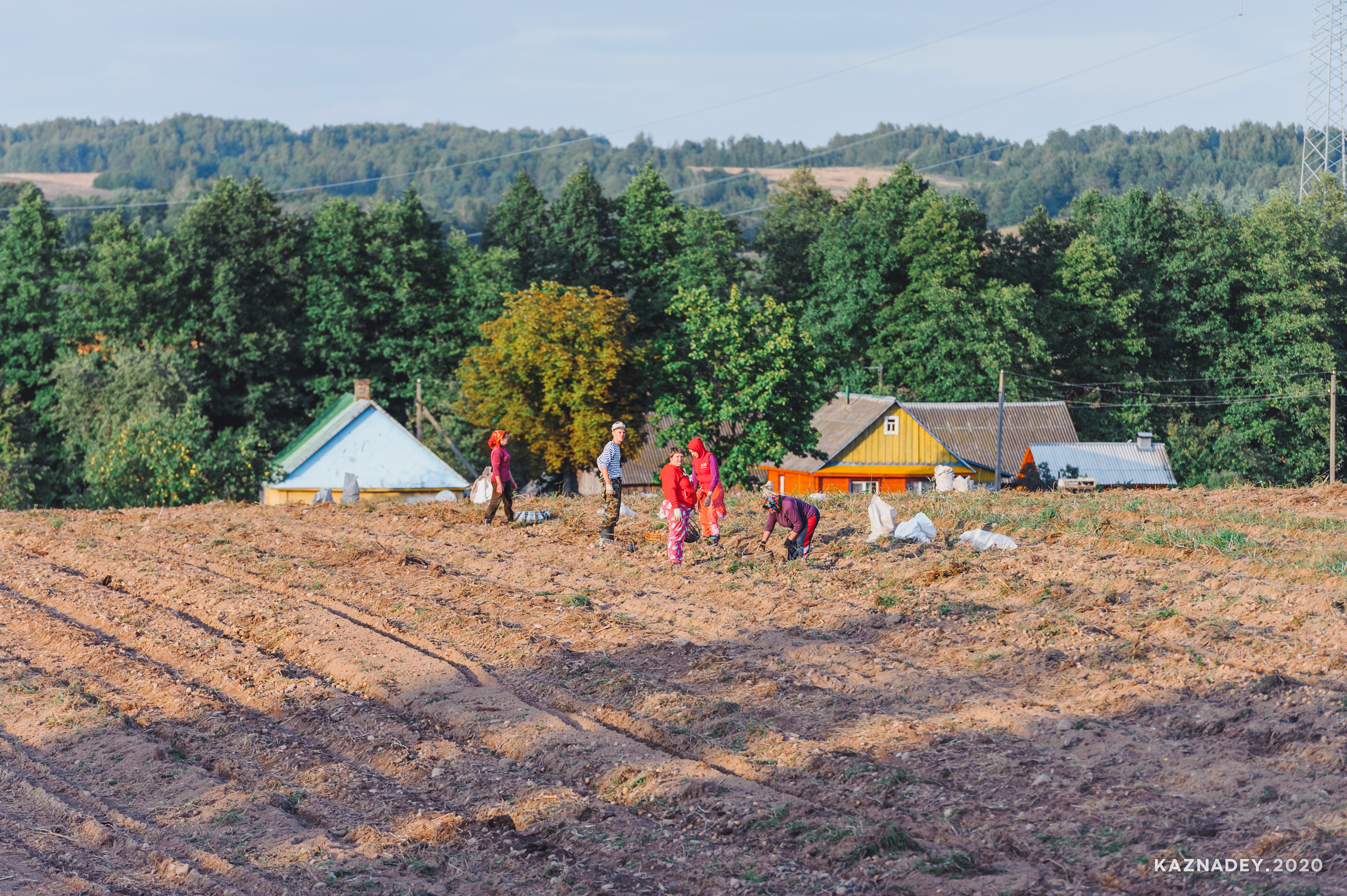 Дорога тишины, Алексей Казнадей, kaznadey