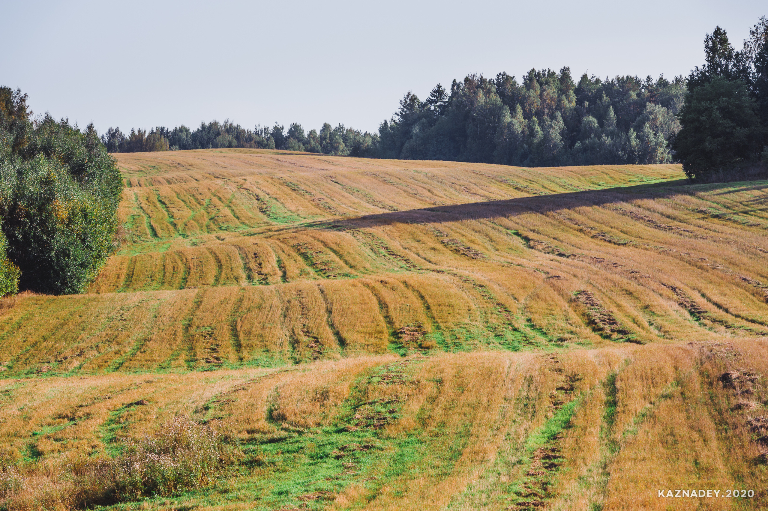 Дорога тишины, Алексей Казнадей, kaznadey