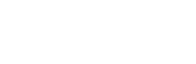 slavik.fi