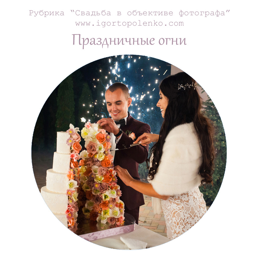 Школа для молодожёнов. Фотограф Ігор Тополенко Арт- фото та весільна фотографія Україна Київ