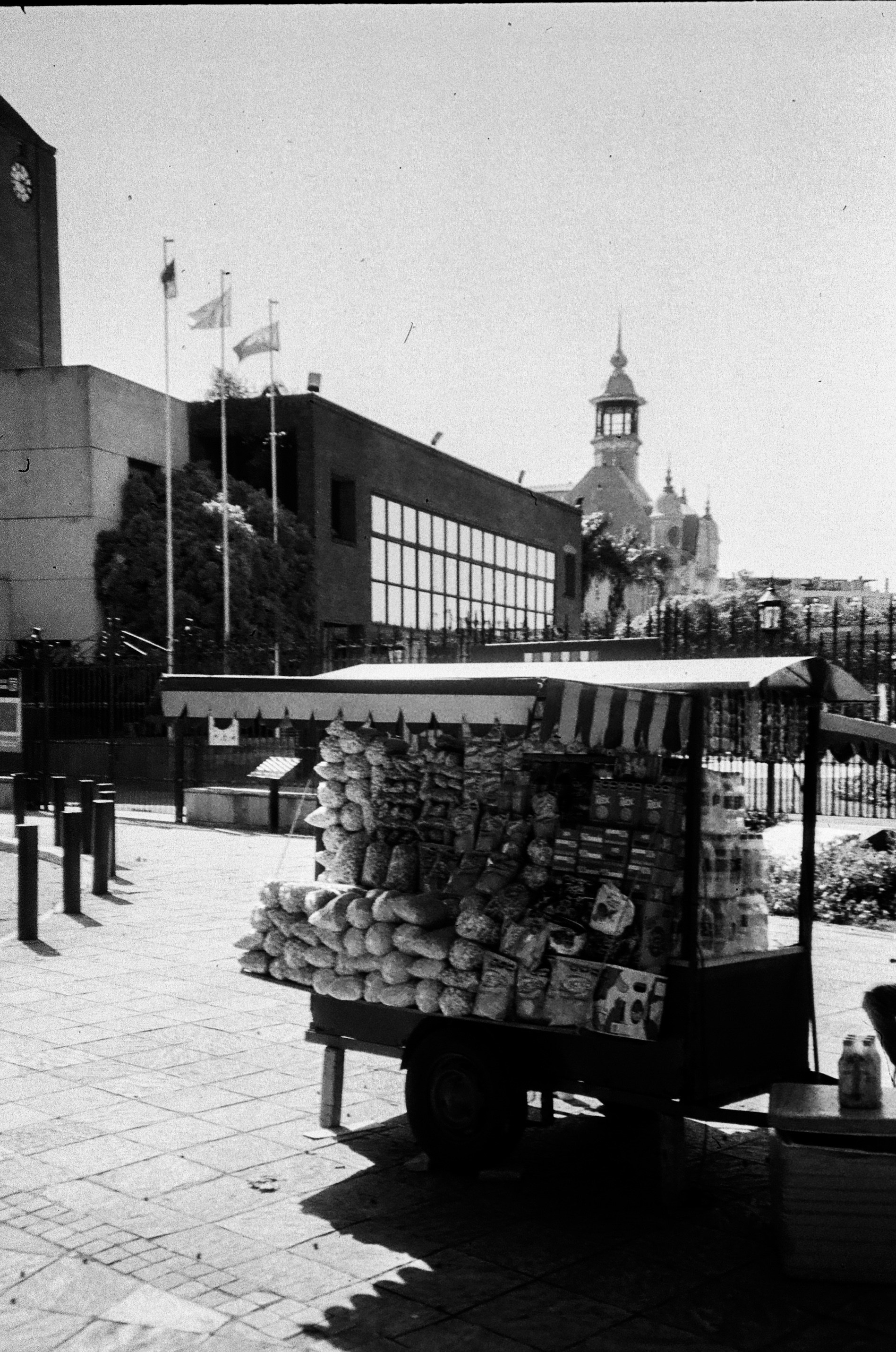 Film. Portrait photographer in Argentina