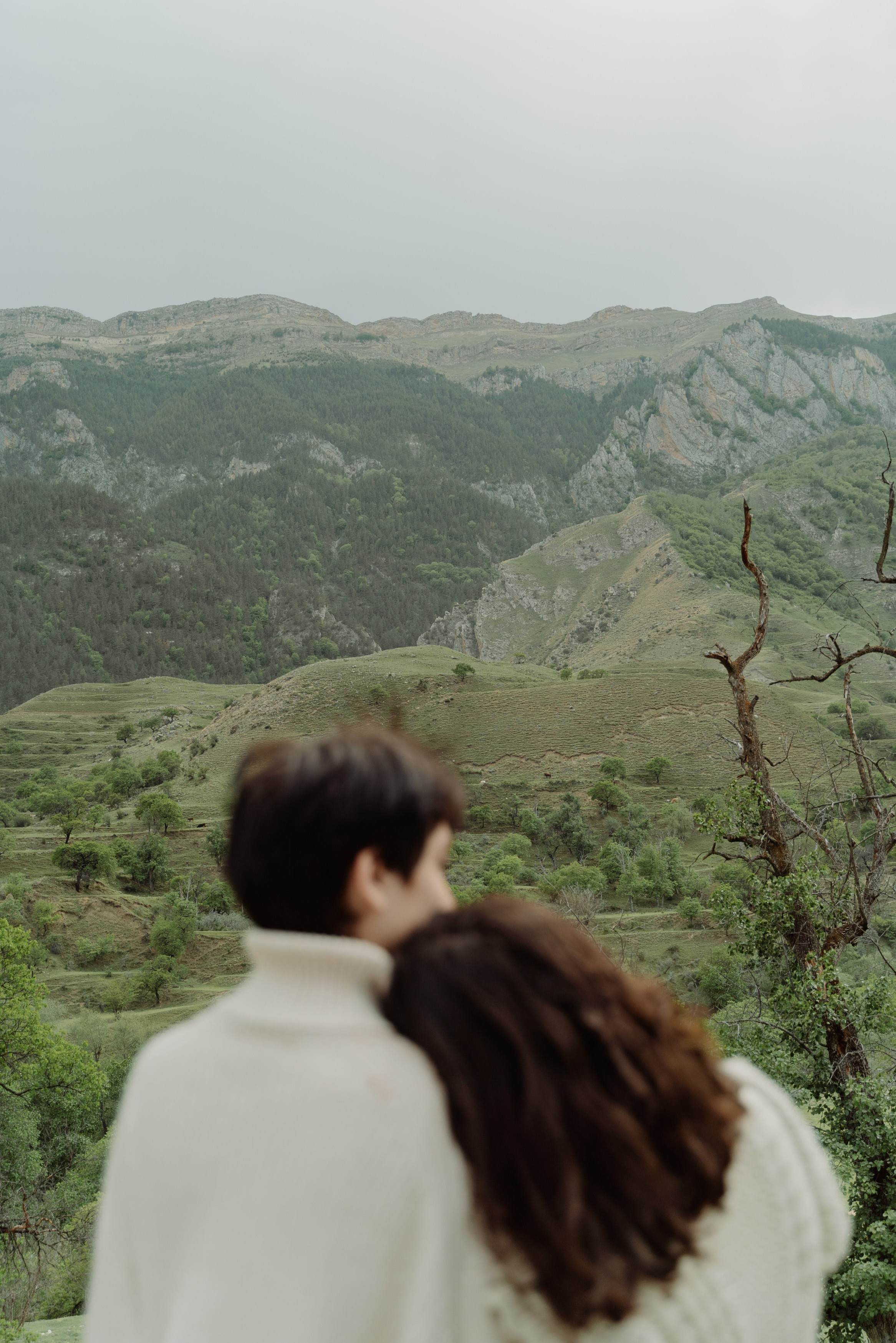 Վարչական անձնակազմ