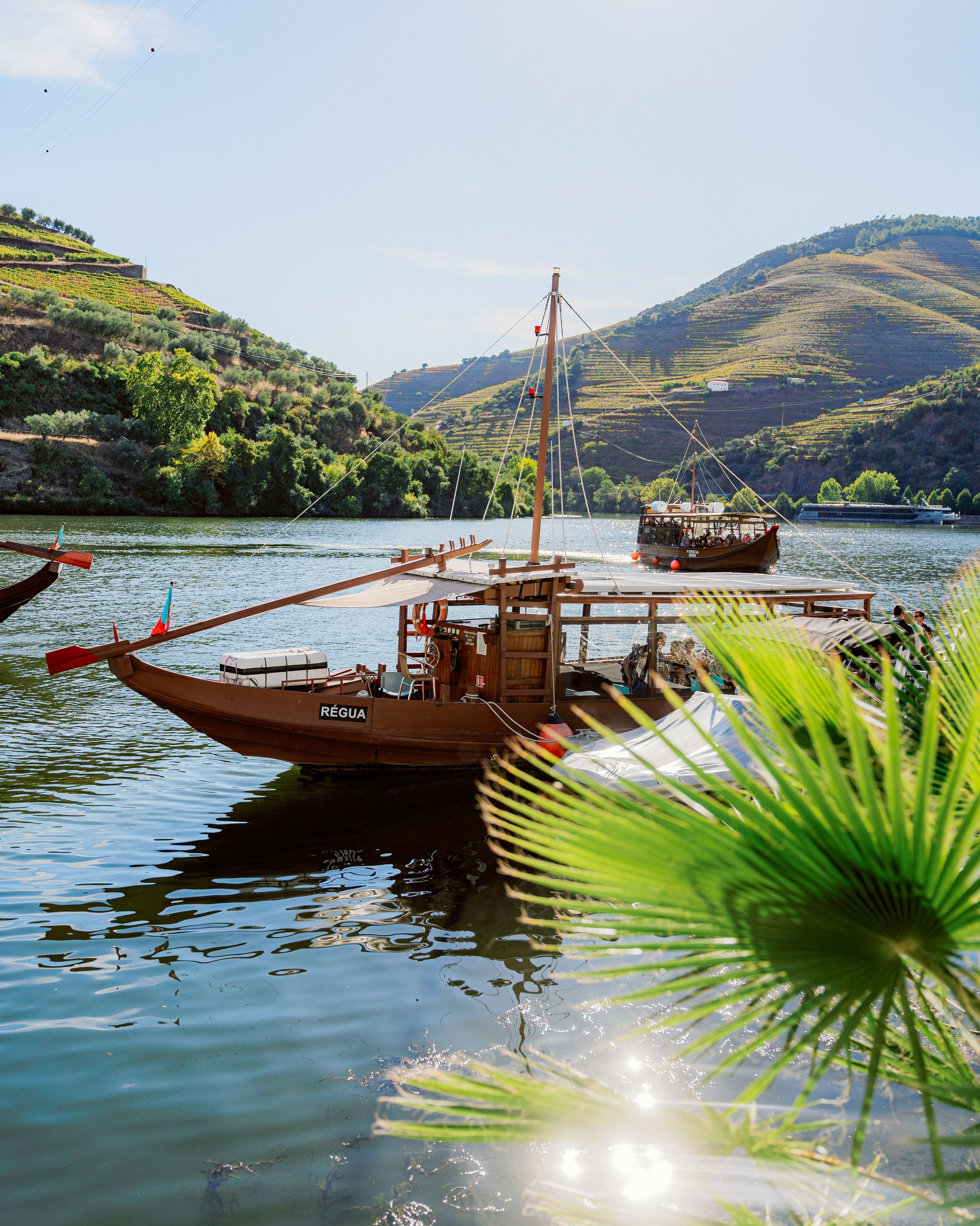 Авторские однодневные экскурсии из Порту