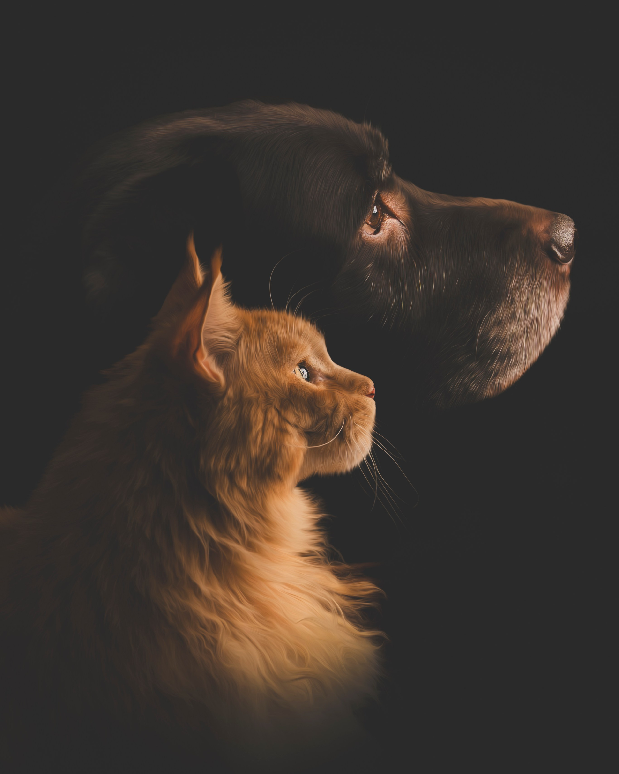 Hinnasto. Senjakulmala.fi