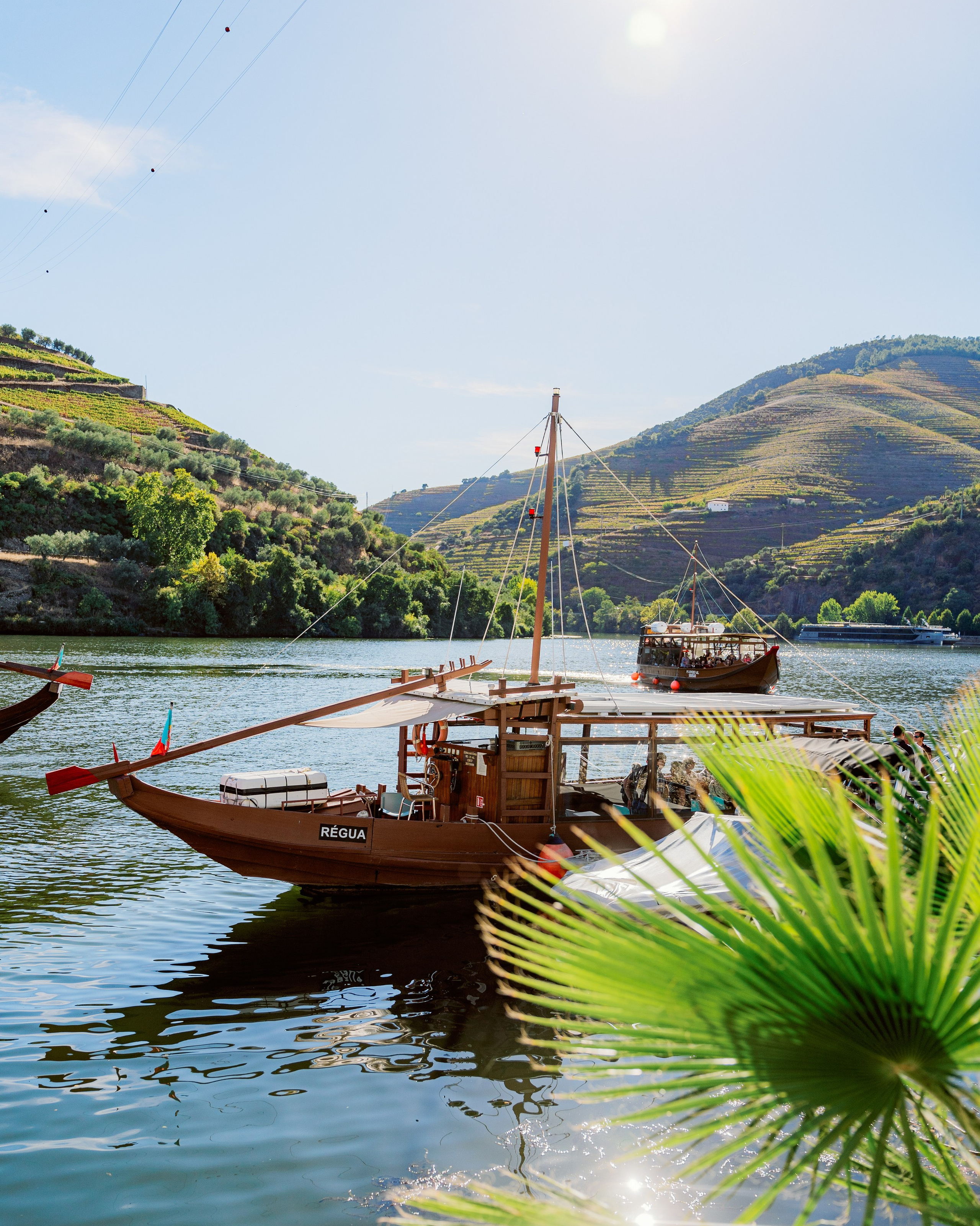 Авторские однодневные экскурсии из Порту