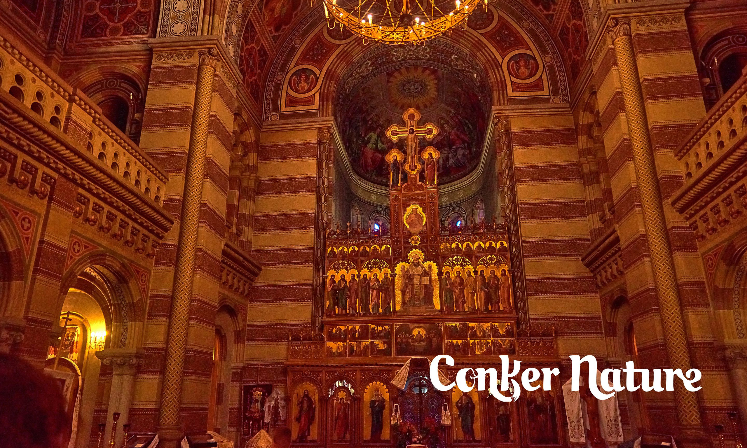 Konker Nature — Web — Chernivtsi. Профессиональный Фотограф Халемонец Андрей в Кривой Рог Днепр Украина