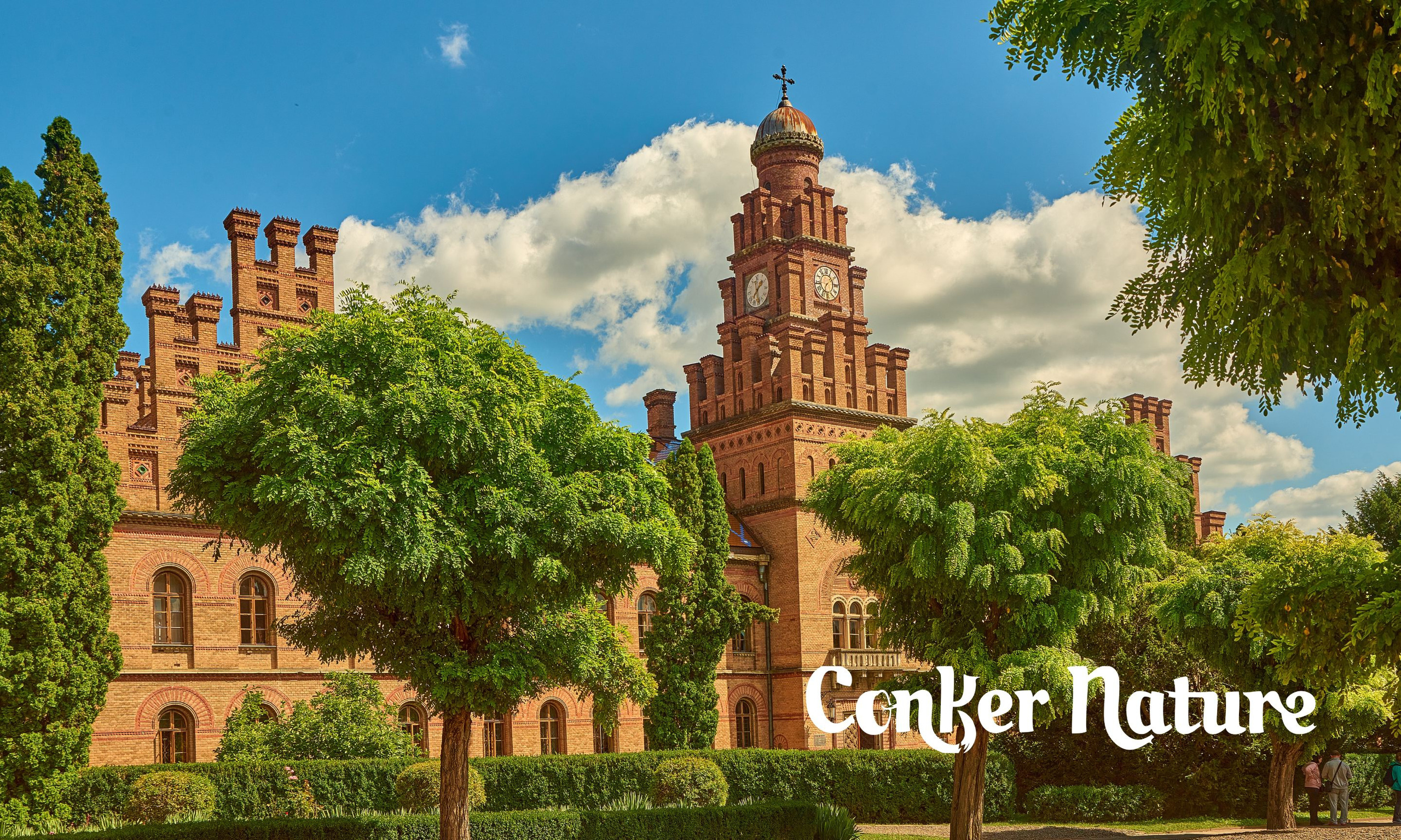 Черновицкий национальный университет имени Юрия Федьковича.