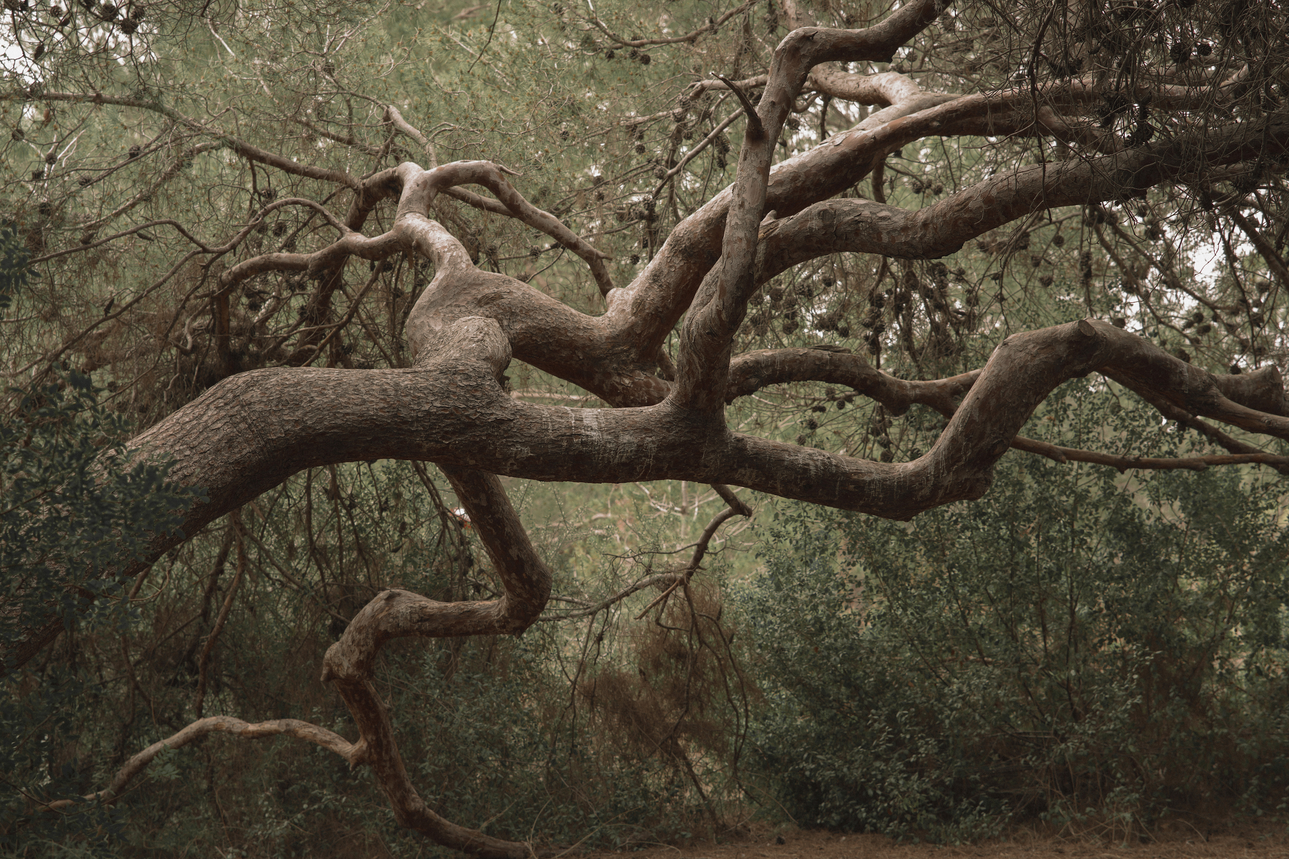 Iryna Martin Photography | Valencia