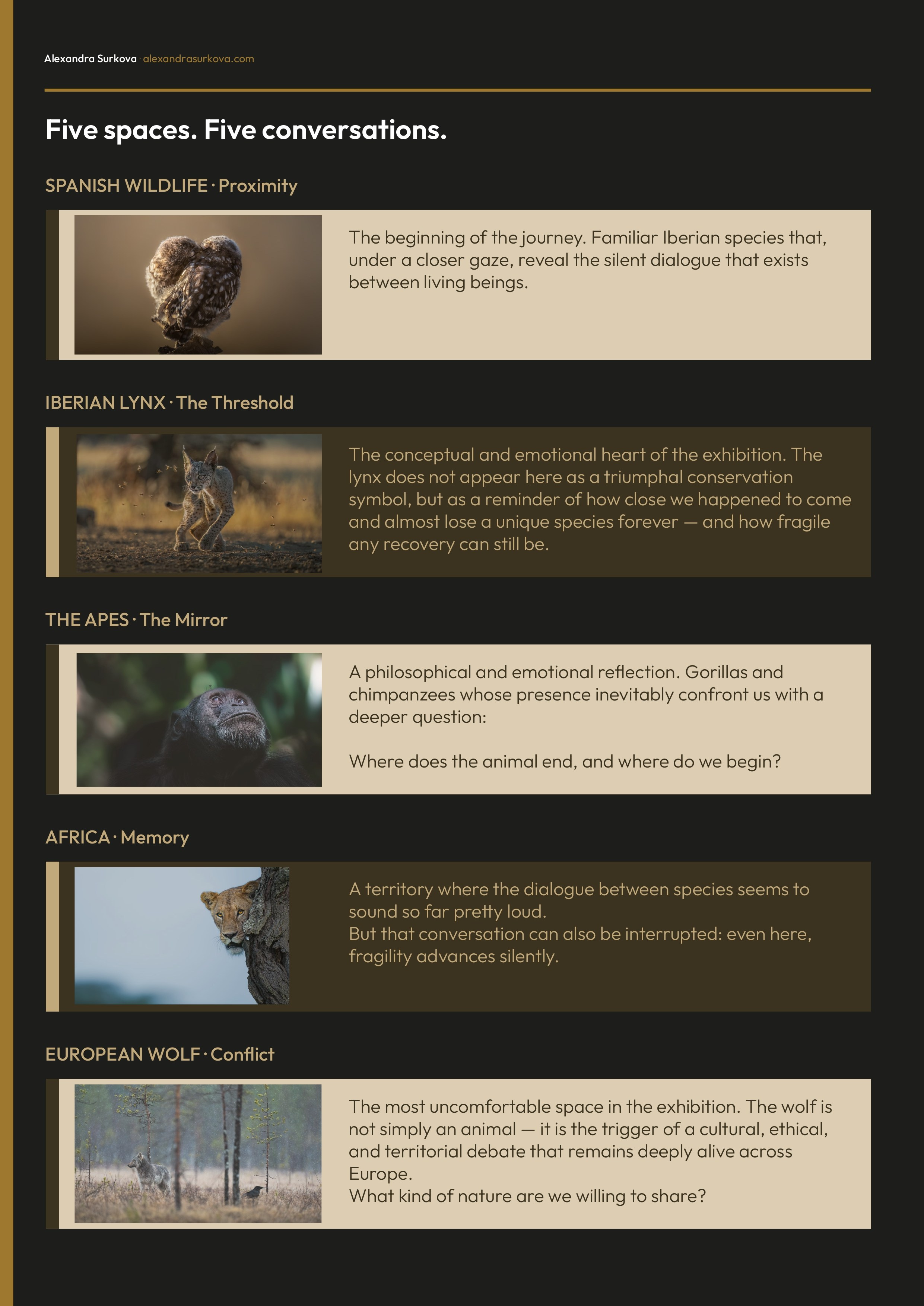 WILD VOICES.pdf (English)