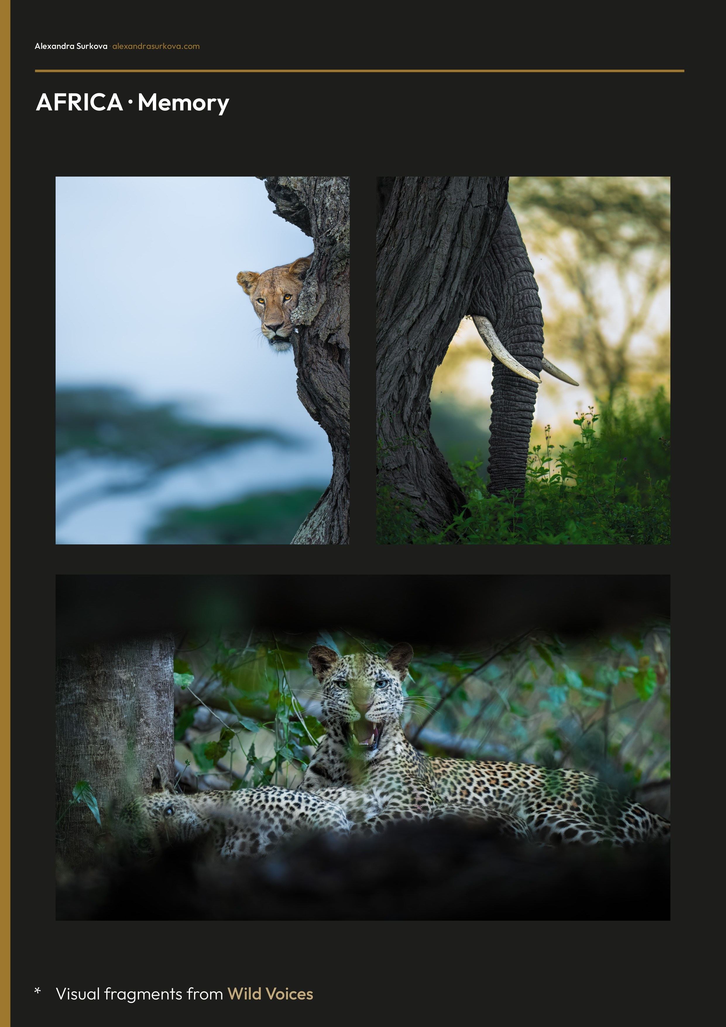 WILD VOICES.pdf (English)