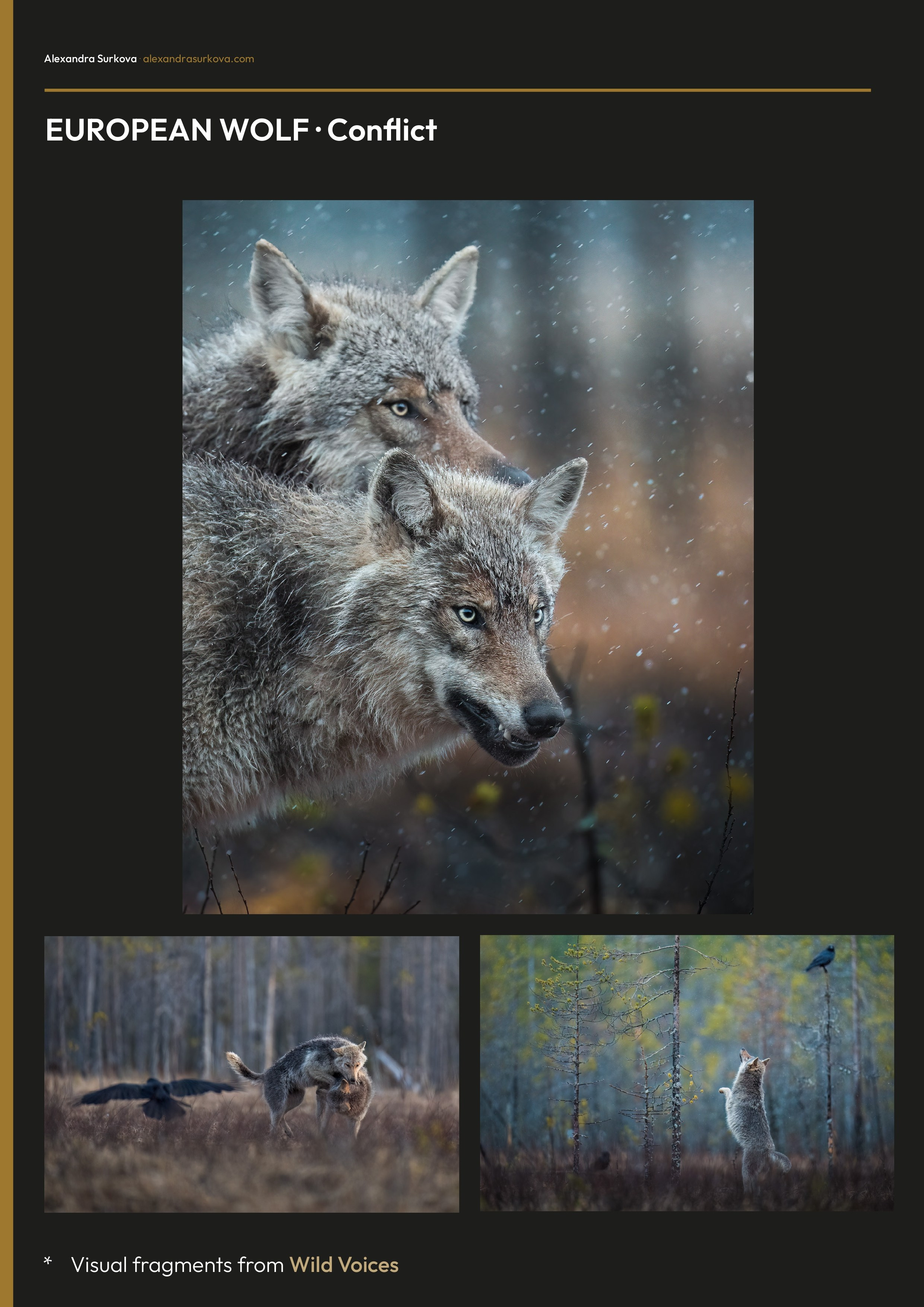 WILD VOICES.pdf (English)
