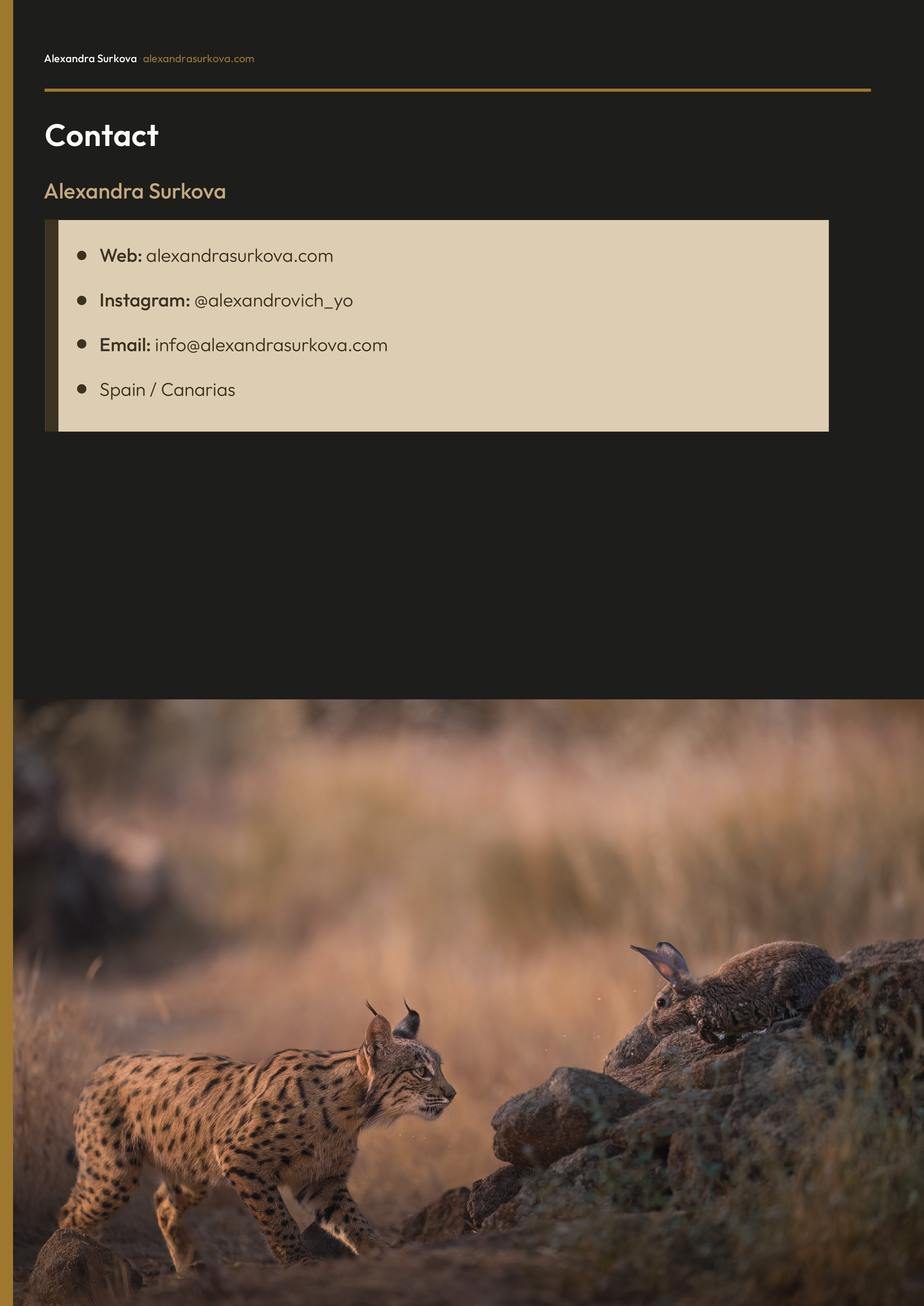 WILD VOICES.pdf (English)