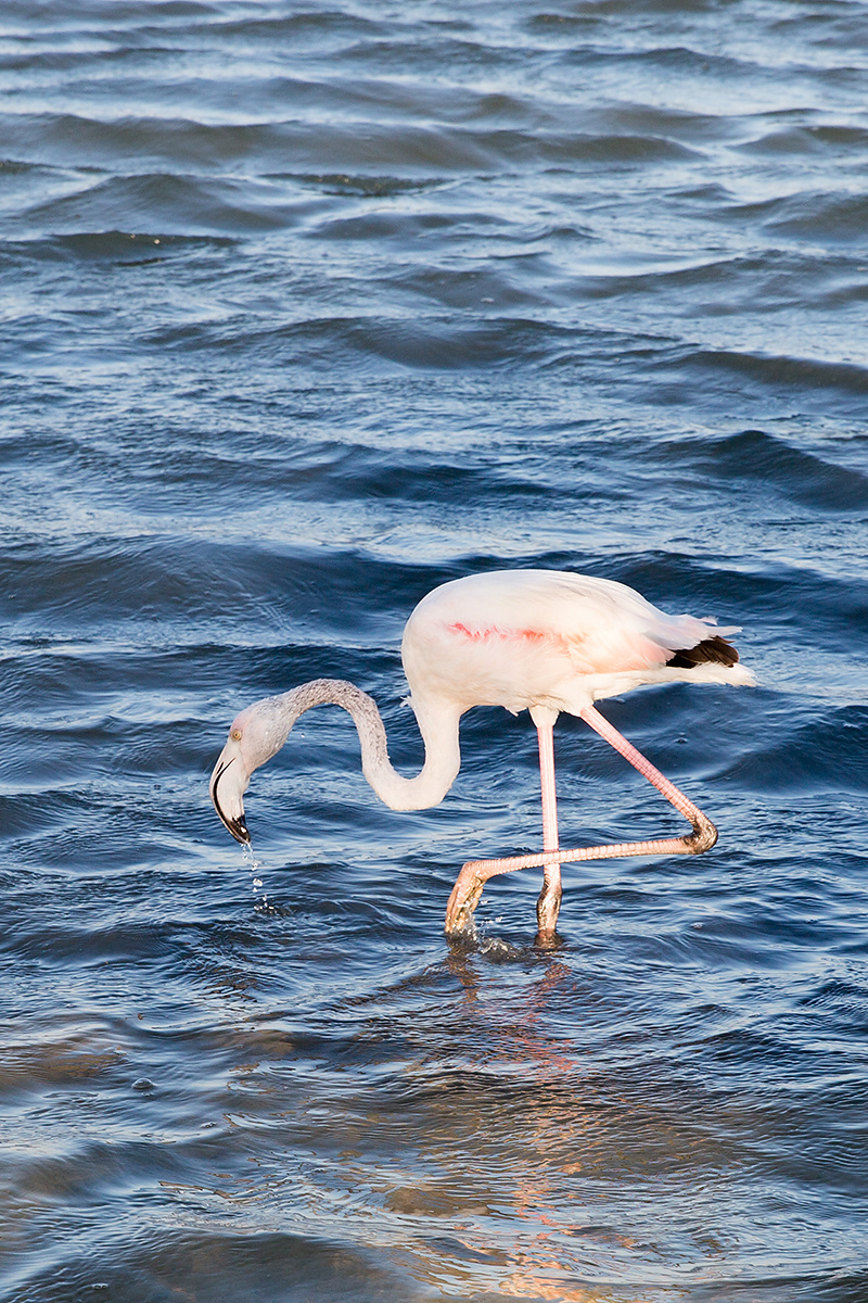 Photographer in Spain, photographer in Fuengirola, photographer in Mal