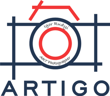 artigoart.com