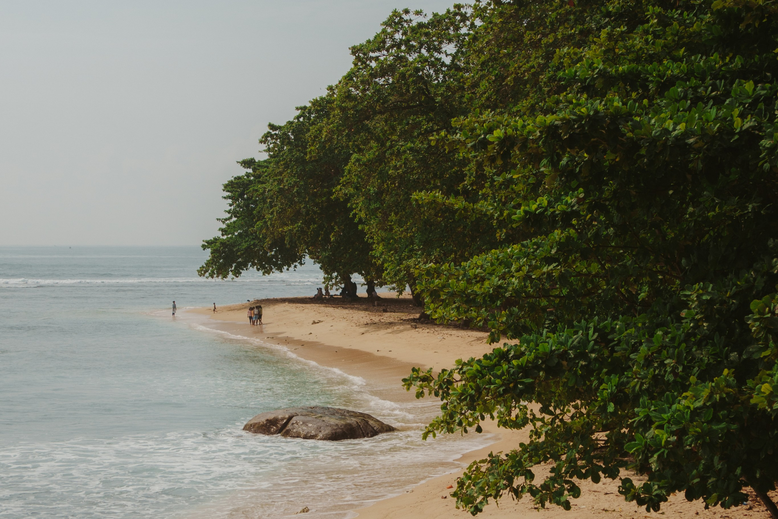 Серф-тур на Шри-Ланку: 12 дней у океана (16-27 Марта)