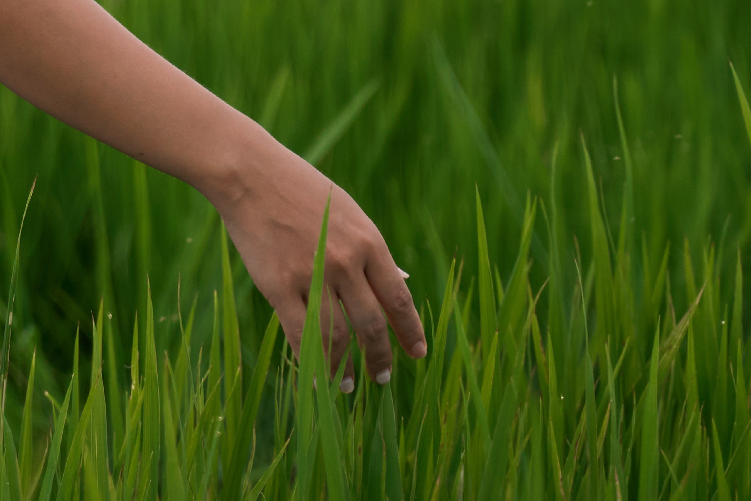 Hoi An Photoshoot Guide — FAQ: Outfits, Best Time, Locations & Tips. Photographer in Hoi An — Veronika Guzenko. Natural photoshoots for couples, families and solo travelers. Book your shoot today