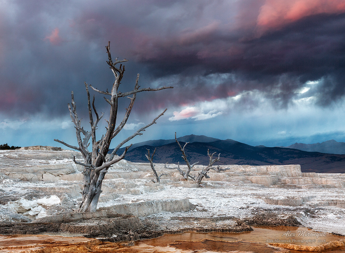 Yellowstone & Grand Teton. Alex Mironyuk Photography
