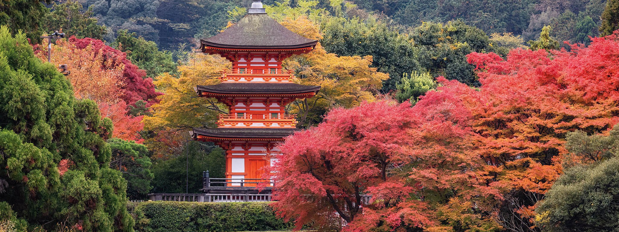 Расписание Туров и Мастер-Классов. Alex Mironyuk Photography