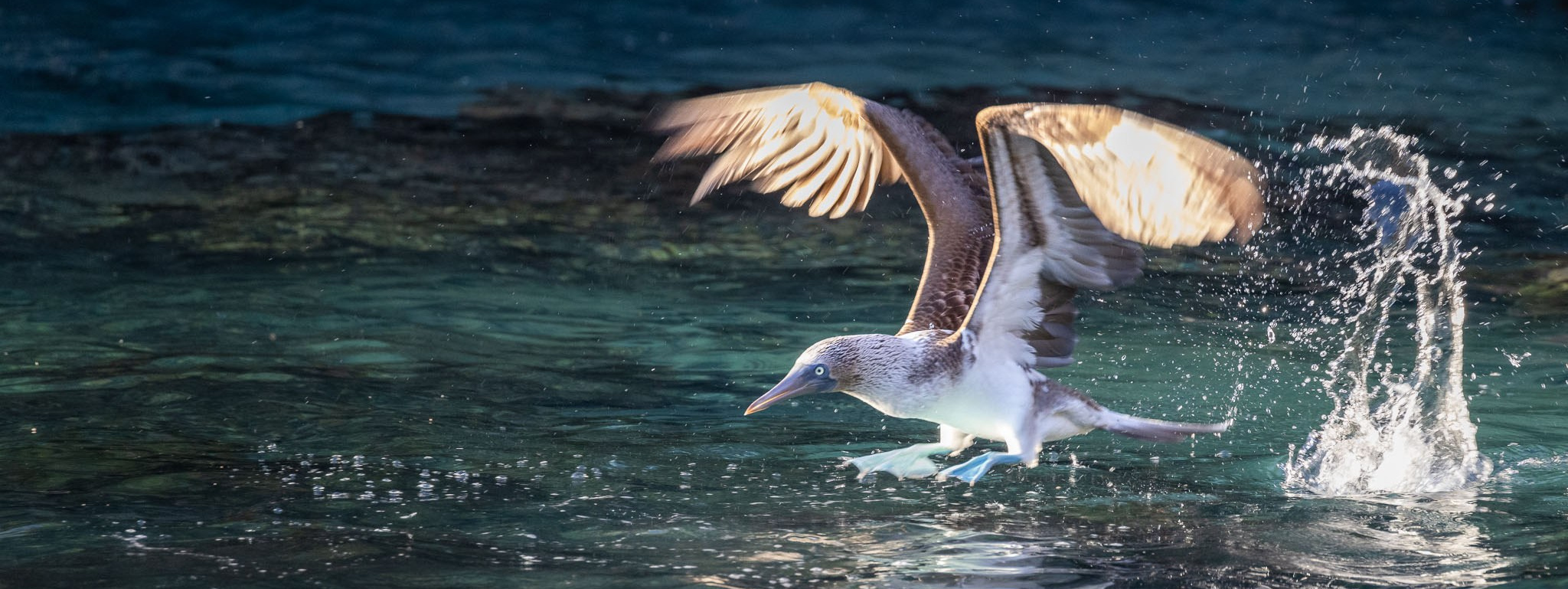 Расписание Туров и Мастер-Классов. Alex Mironyuk Photography