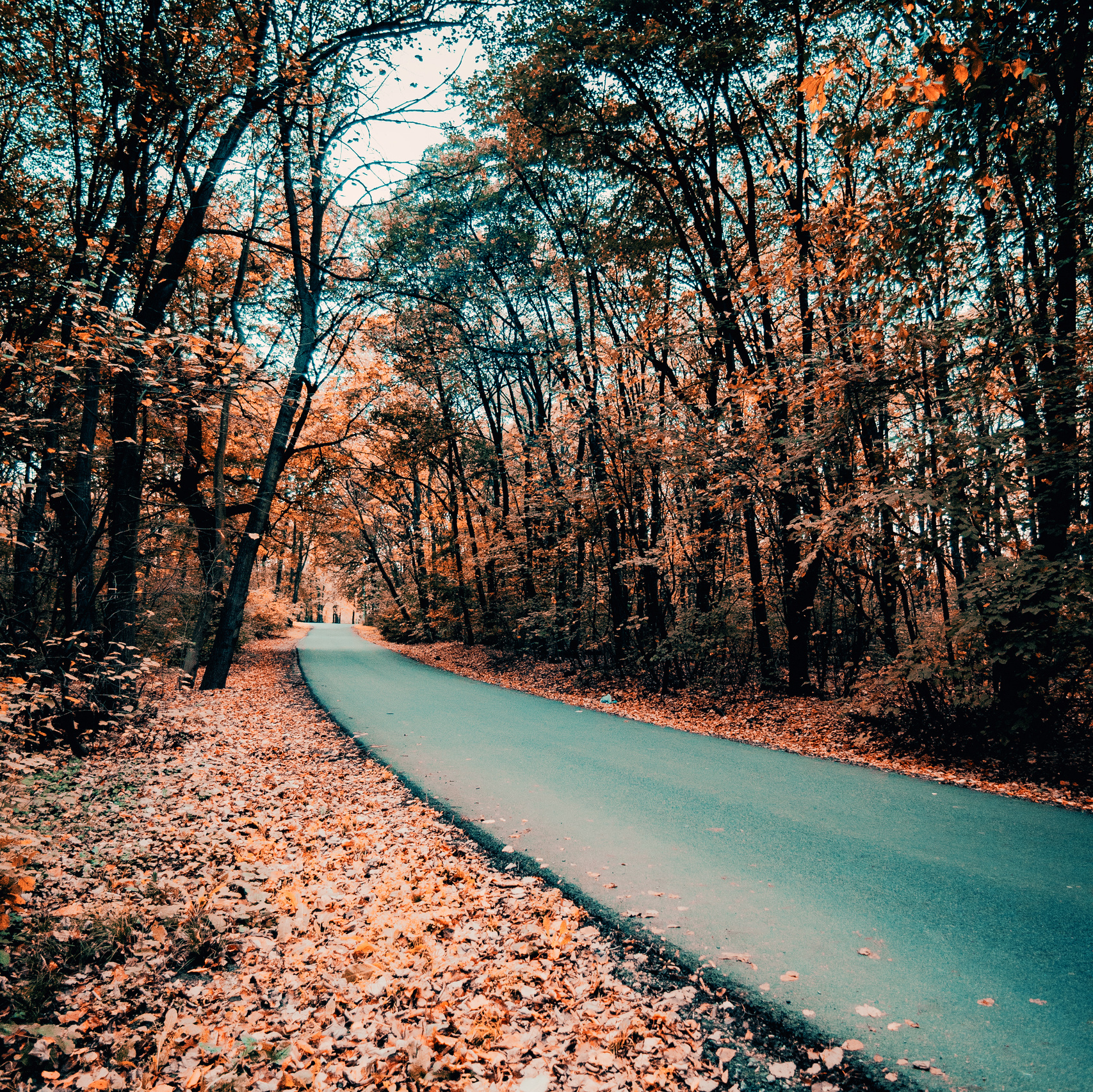 Do you know the difference between Presets and Profiles? Learn more!. Mark Smilyanic | Portrait and Adventure Photographer from Belgrade