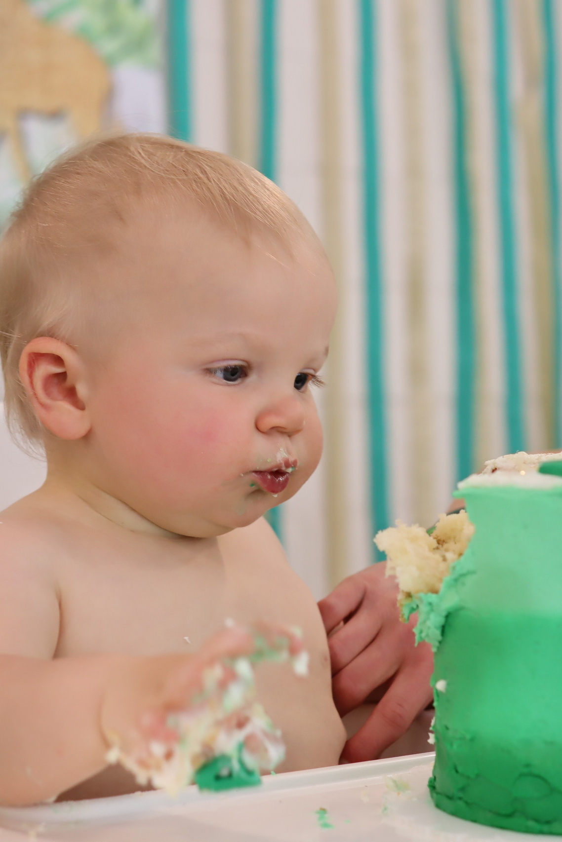 Travel and family photographer in South Carolina