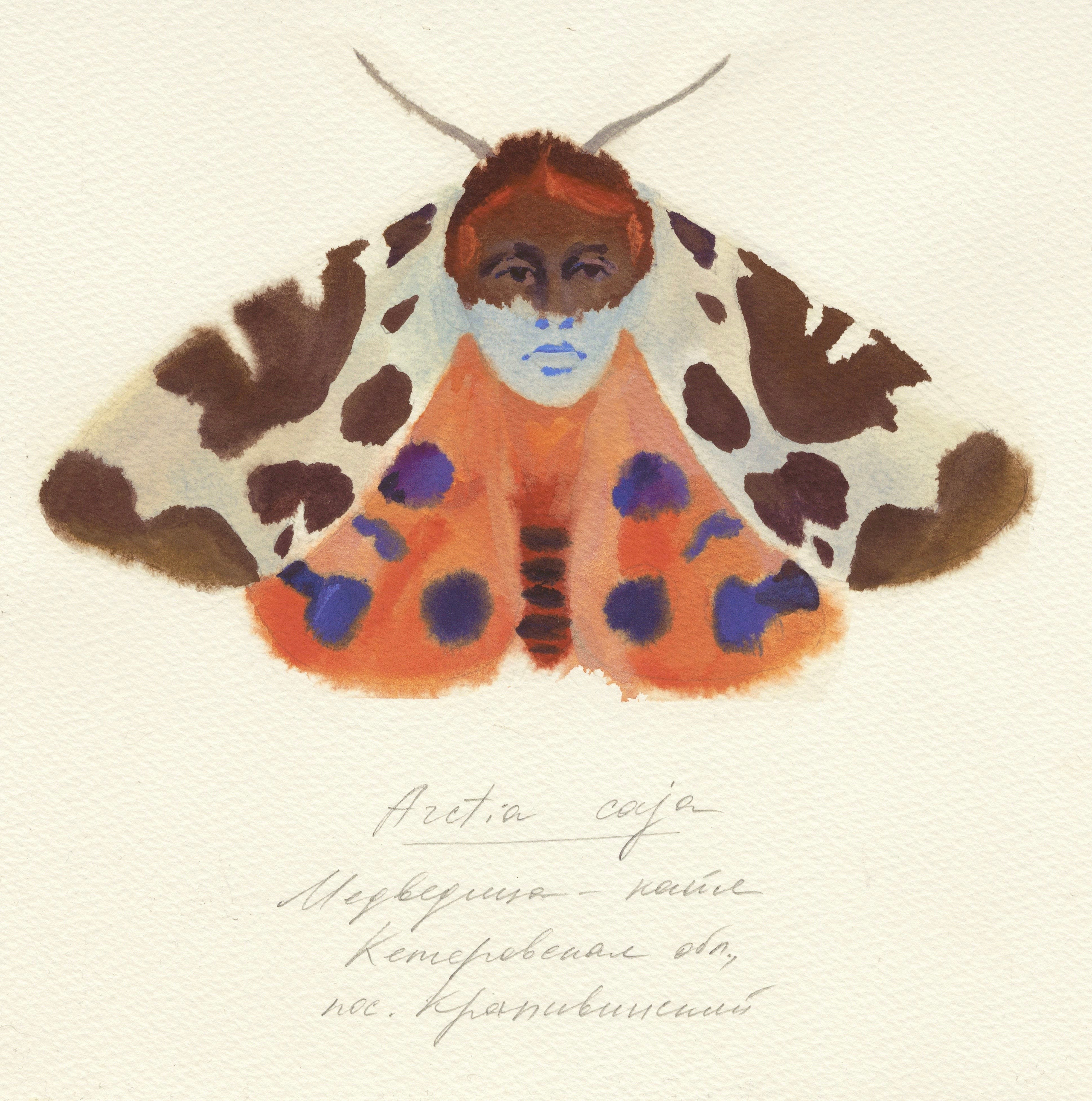 Filing System. Alina Kugush