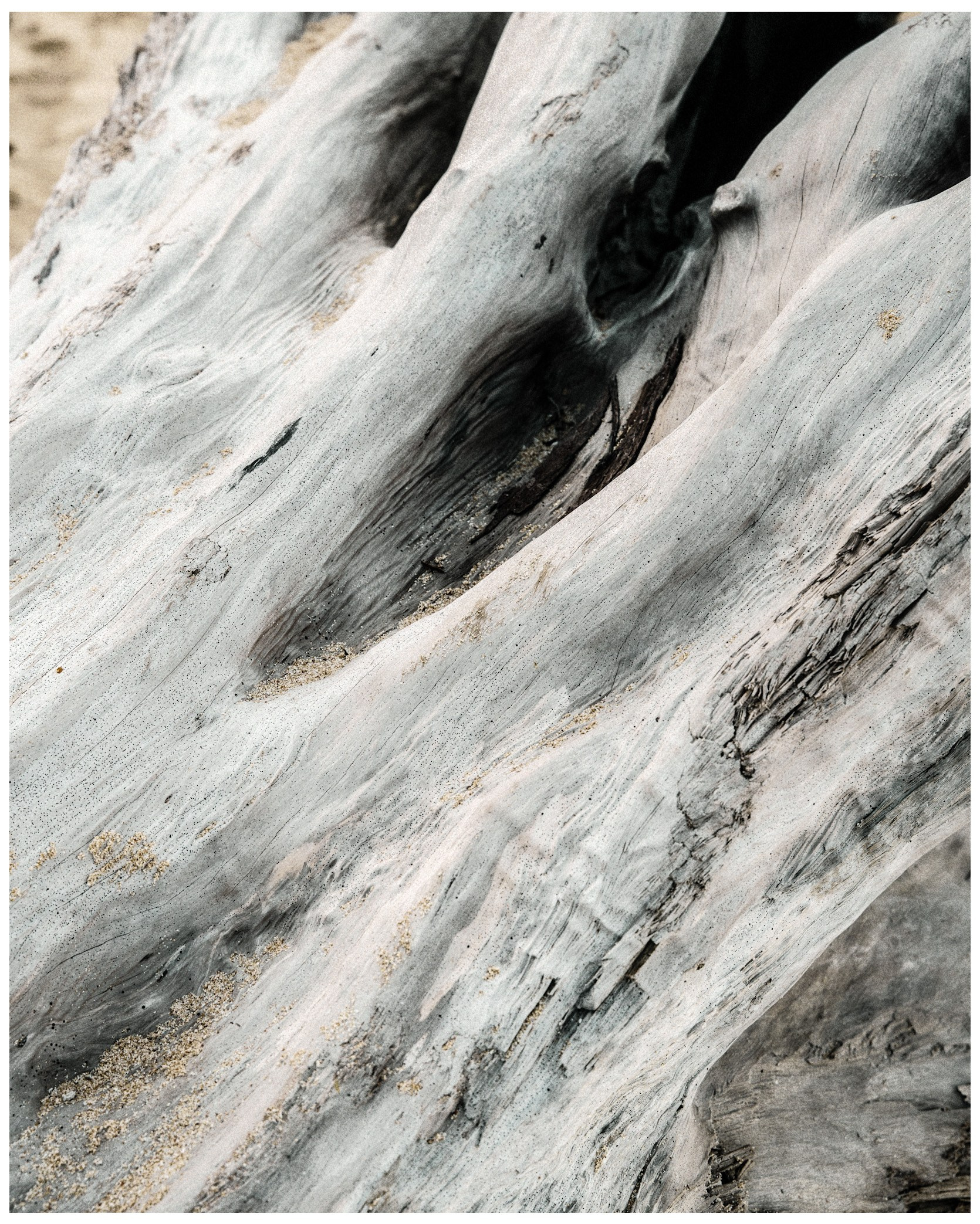 Фотограф/ индивидуальные съемки, бренды, lovestory