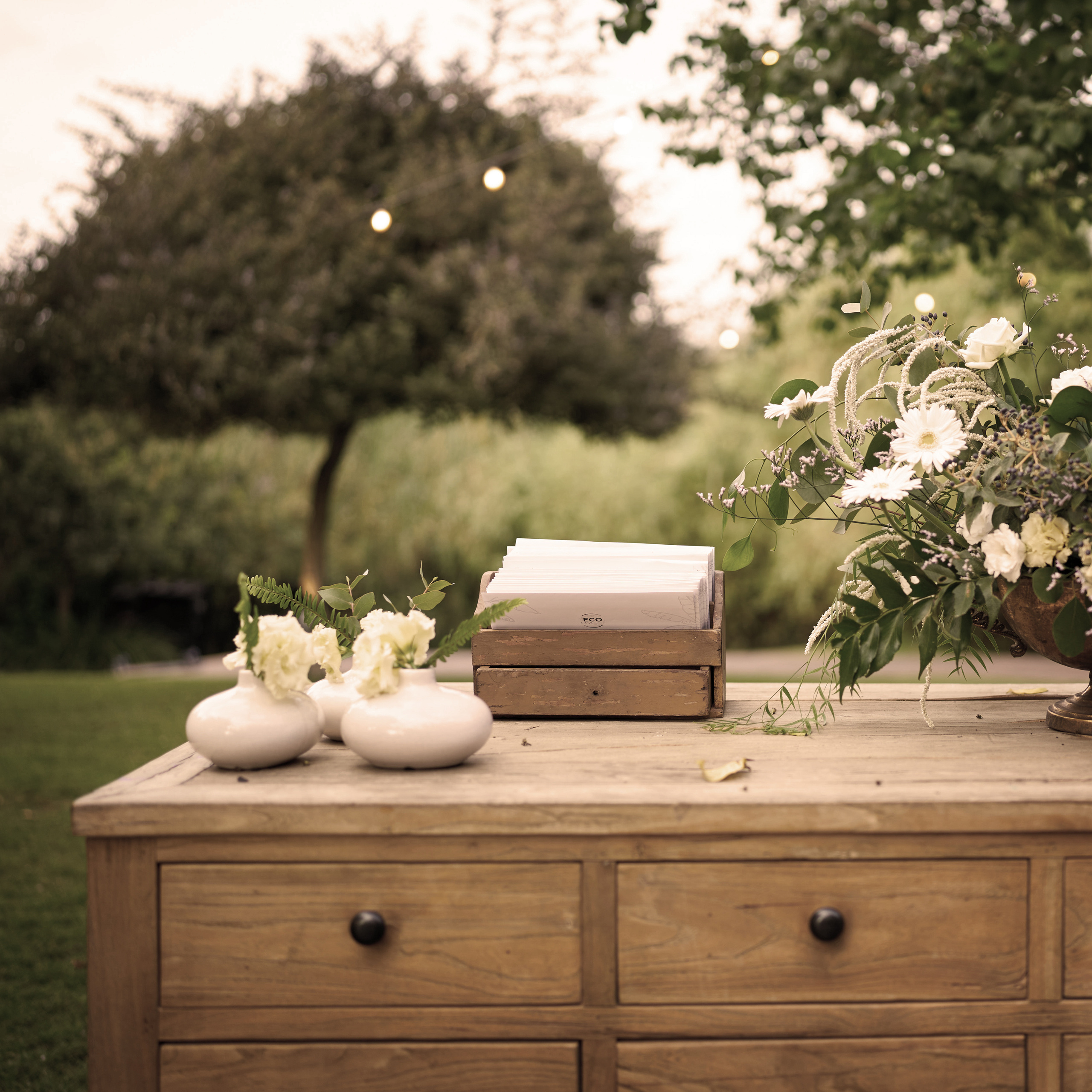 To make an order. צלם אלכס ברט בישראל