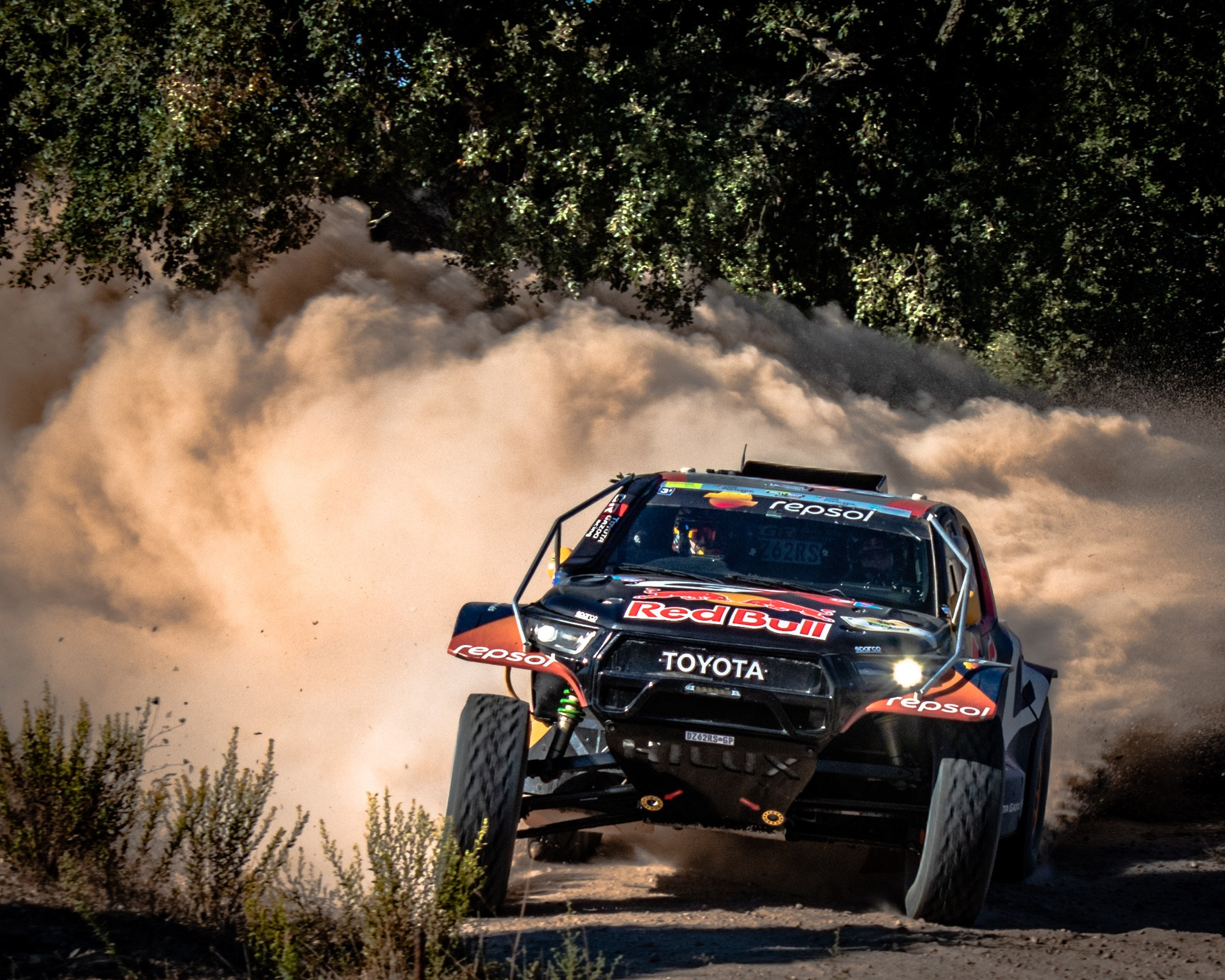 Rally. Duarte Teixeira Photography
