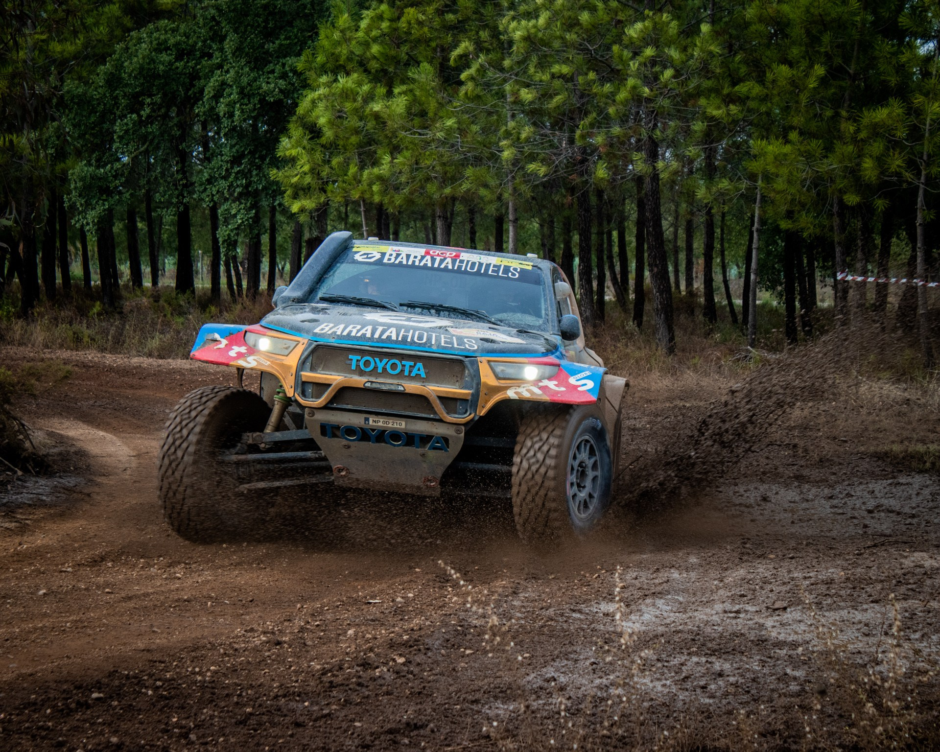 Rally. Duarte Teixeira Photography