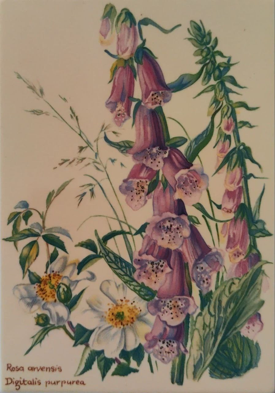 Старинная фарфоровая открытка Villeroy & Boch. Фотограф, коллекционер винтажных открыток и создатель историй на пересечении прошлого и личного. Ирина Дайнакова