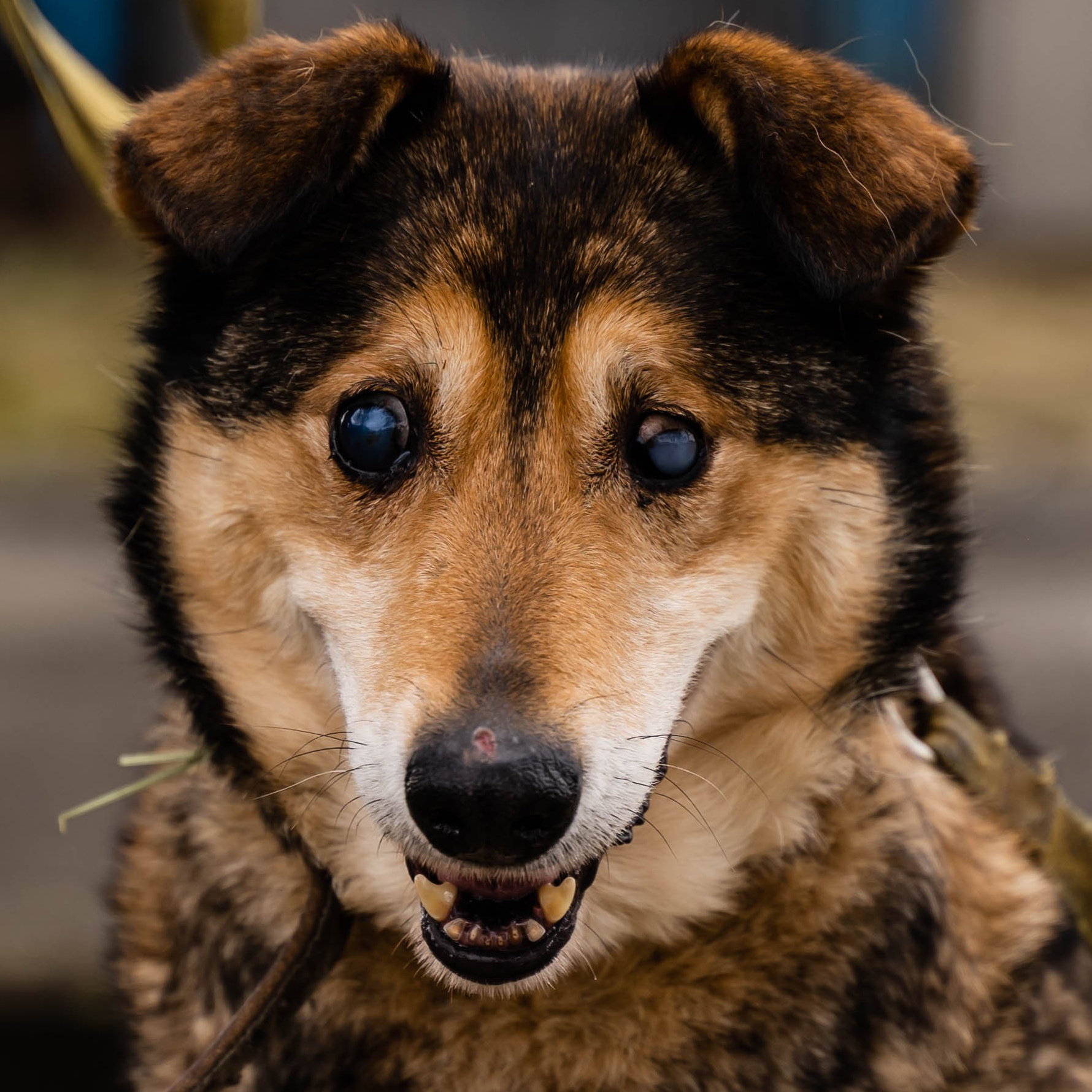 Сім’я кожному. Family photographer in Kiev Natalia Shkavron