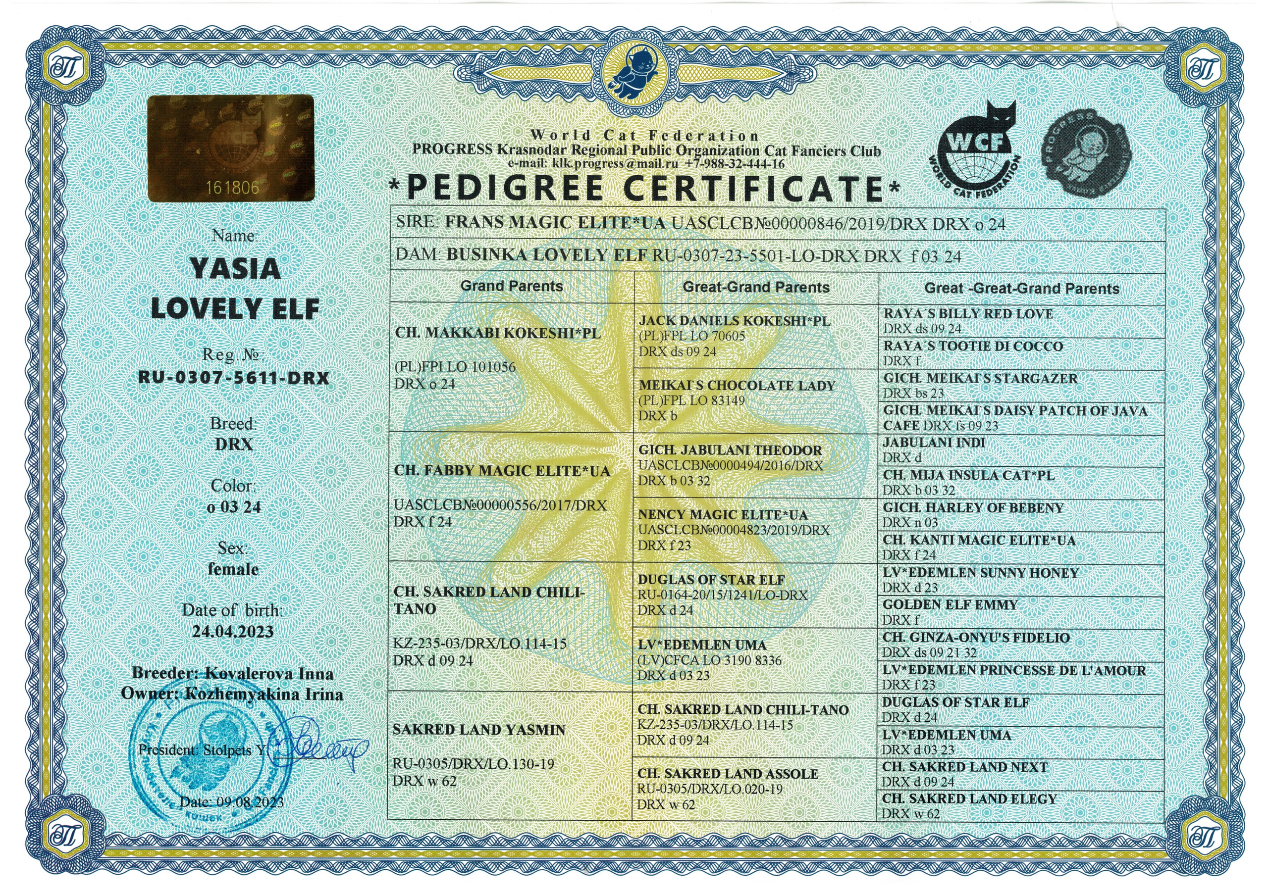 Pedigree Yasia. Devon Rex Pixie Cattery