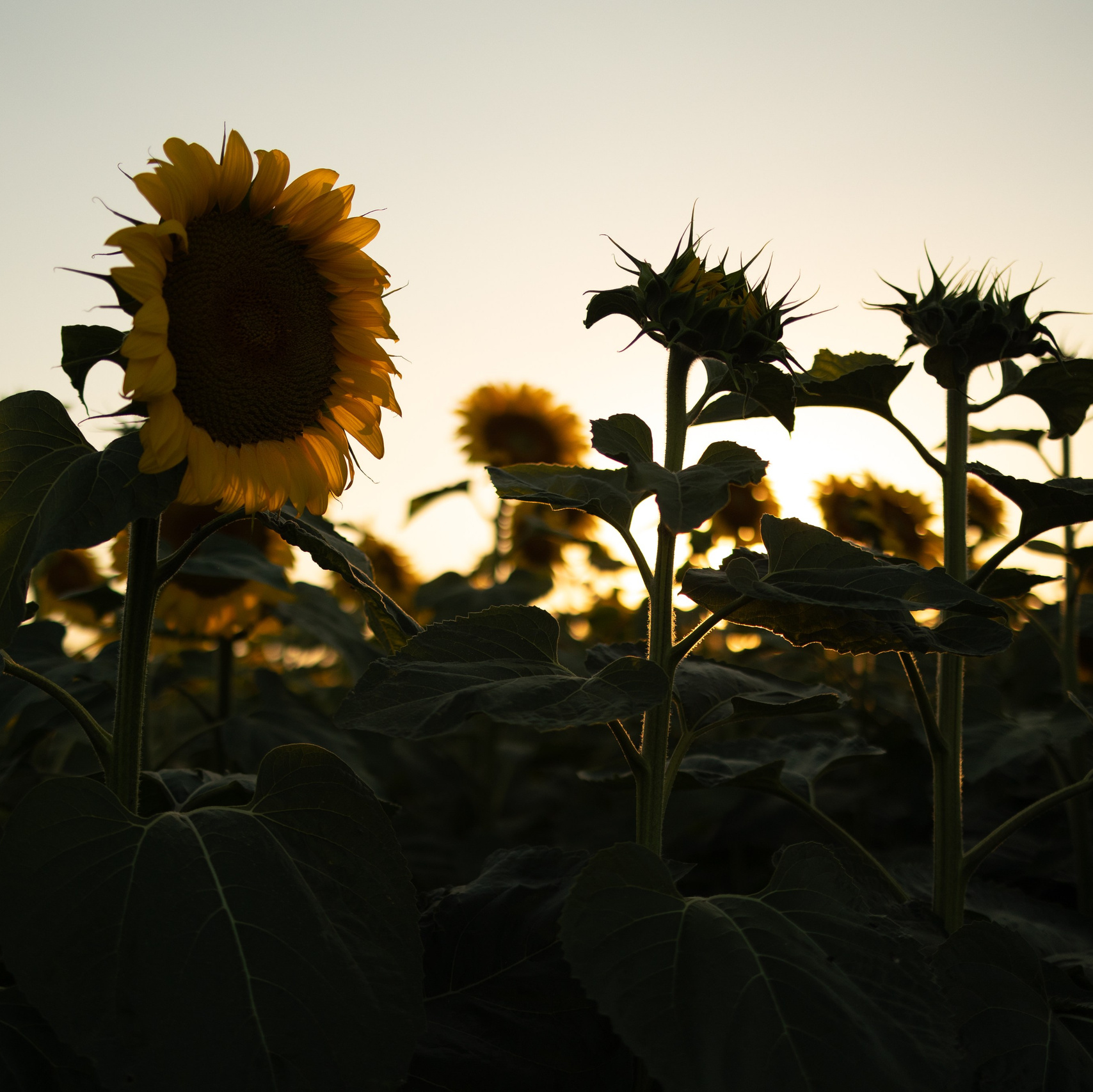 WORLD PHOTO. International Photographer