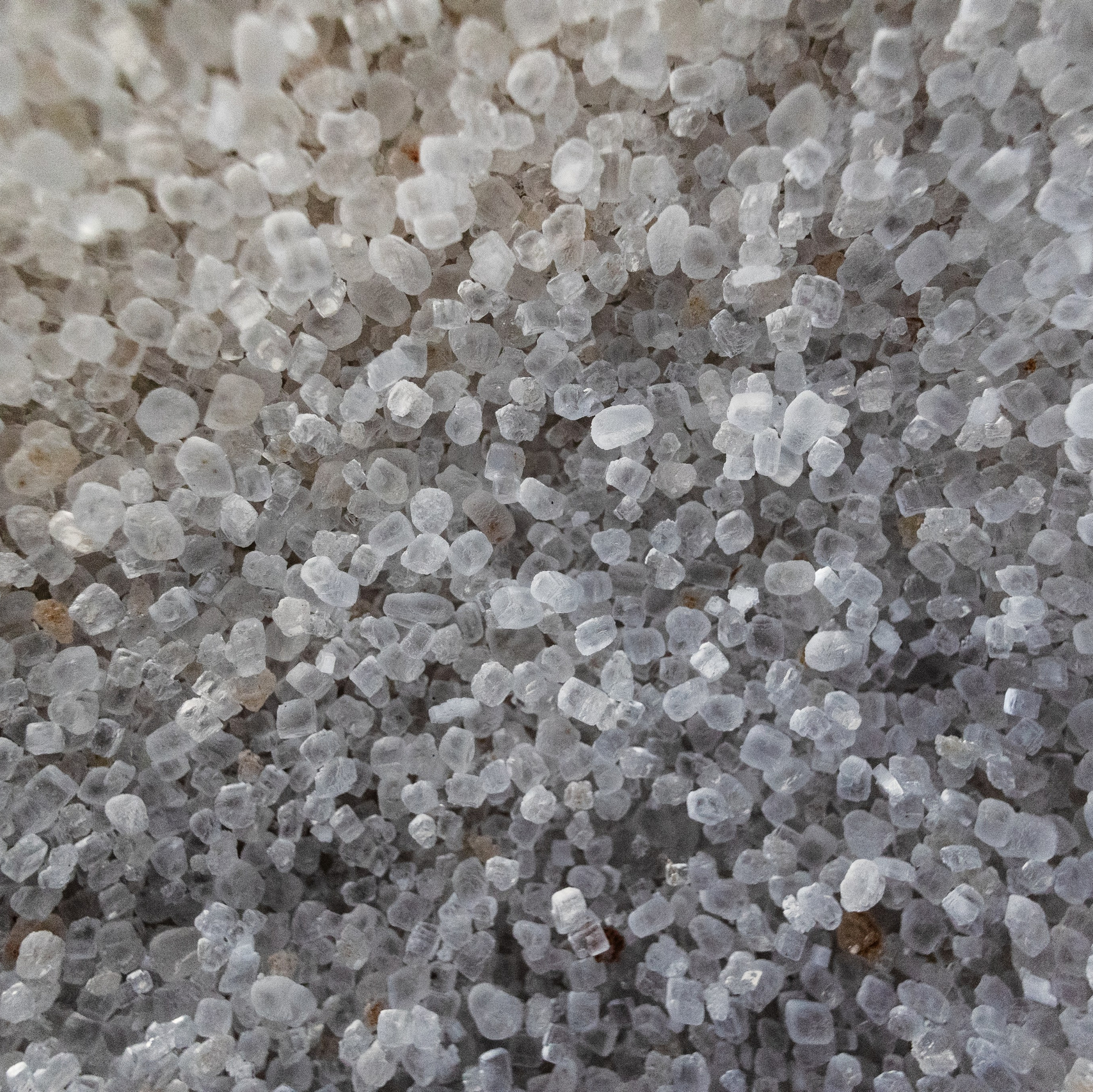 WORLD PHOTO. International Photographer