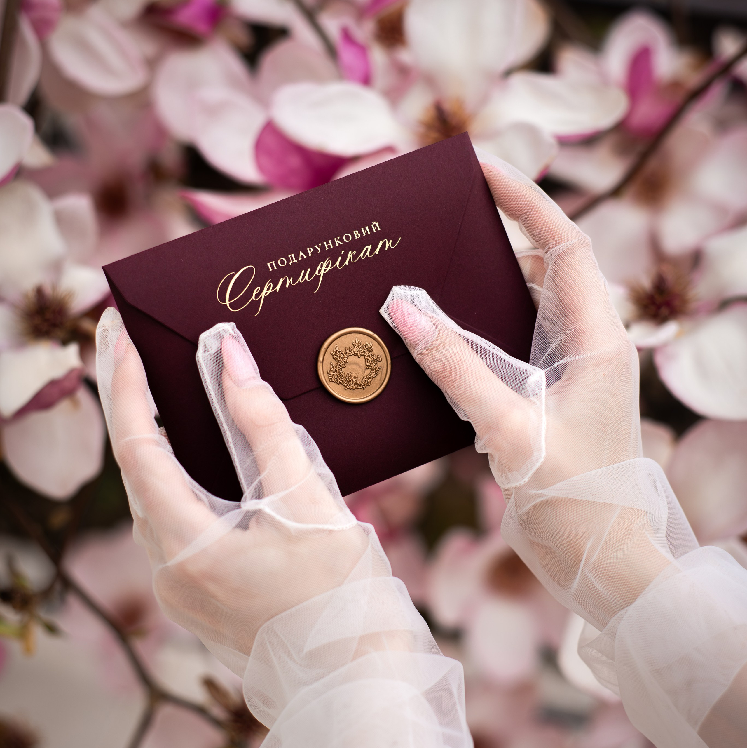 Сертифікати. Сімейний та весільний фотограф Анастасія Грицай