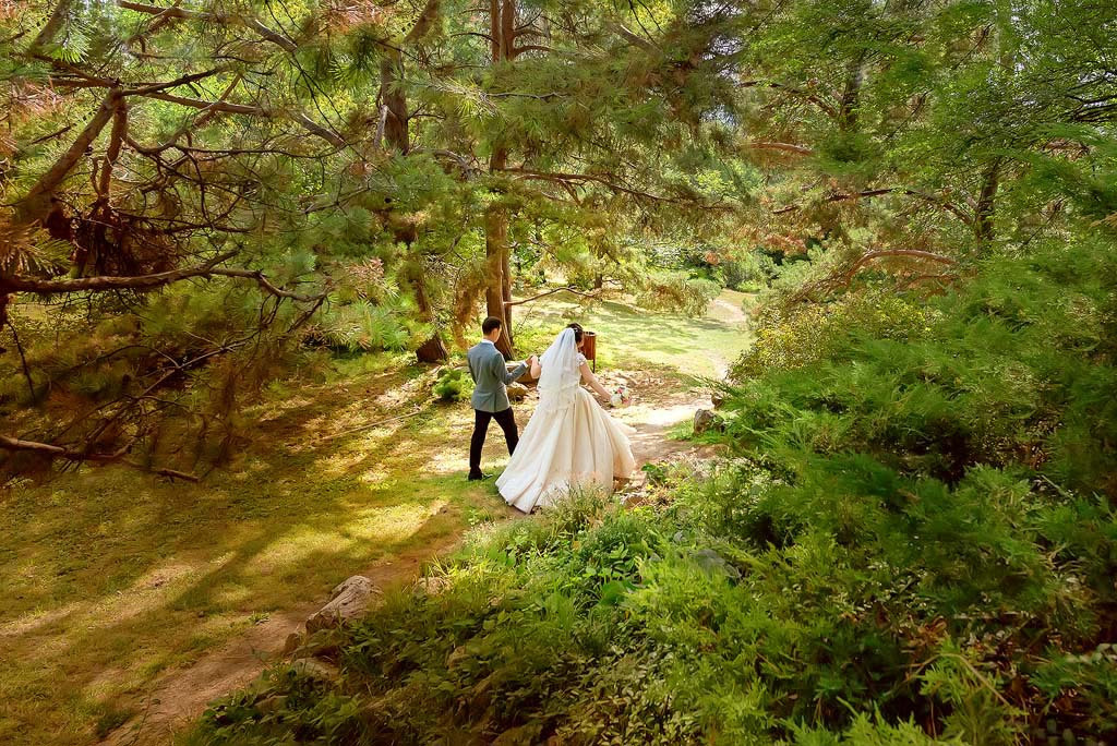 pachete foto cu albume foto iasi; fotograf profesionist nunta iasi; fotograf profesionist botez iasi; pachete foto nunta iasi; pachete foto botez iasi; foto de calitate iasi; foto nunta de calitate iasi; foto botez de calitate iasi; preturi fotograf nunta iasi; preturi fotograf botez iasi; preturi foto nunta iasi; preturi foto botez iasi; oferte foto nunta iasi; oferte foto botez iasi; recomandare fotograf nunta iasi; recomandare fotograf botez iasi; recomandare foto nunta iasi; recomandare foto botez iasi