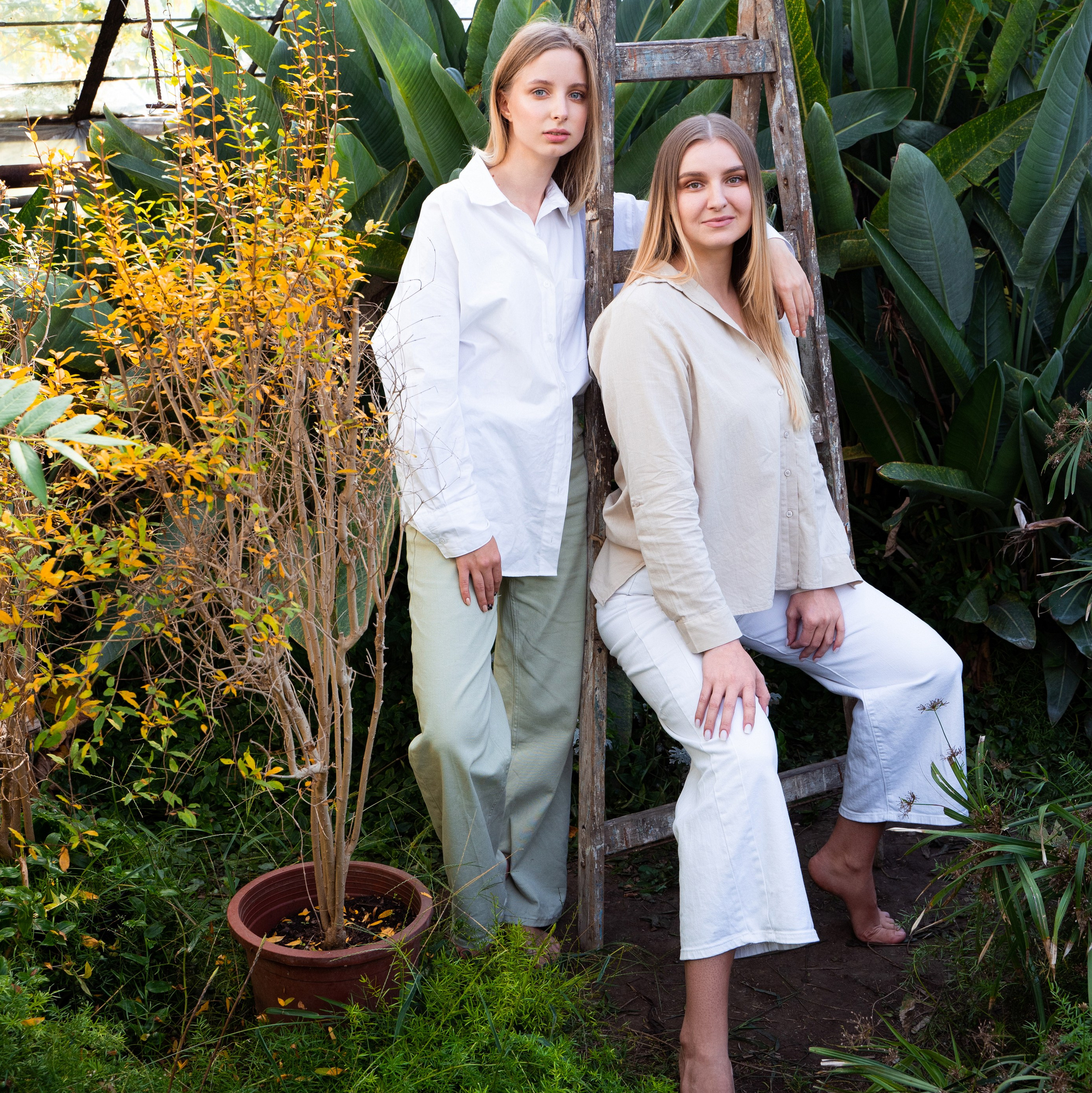 Название компаний. Привет