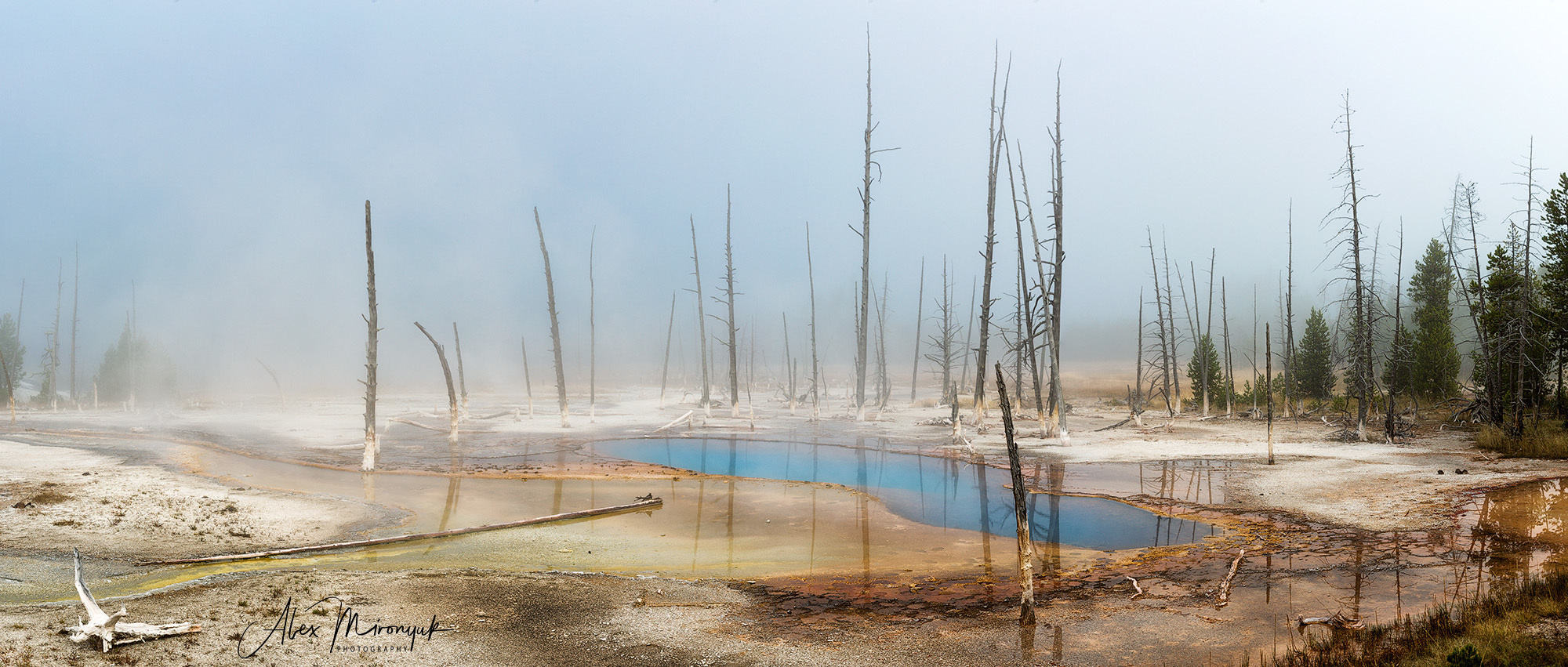 Photo - Workshop “Unforgettable North-West”. Pet, Senior, Landscape, portrait studio, photographer in Miami and Sou