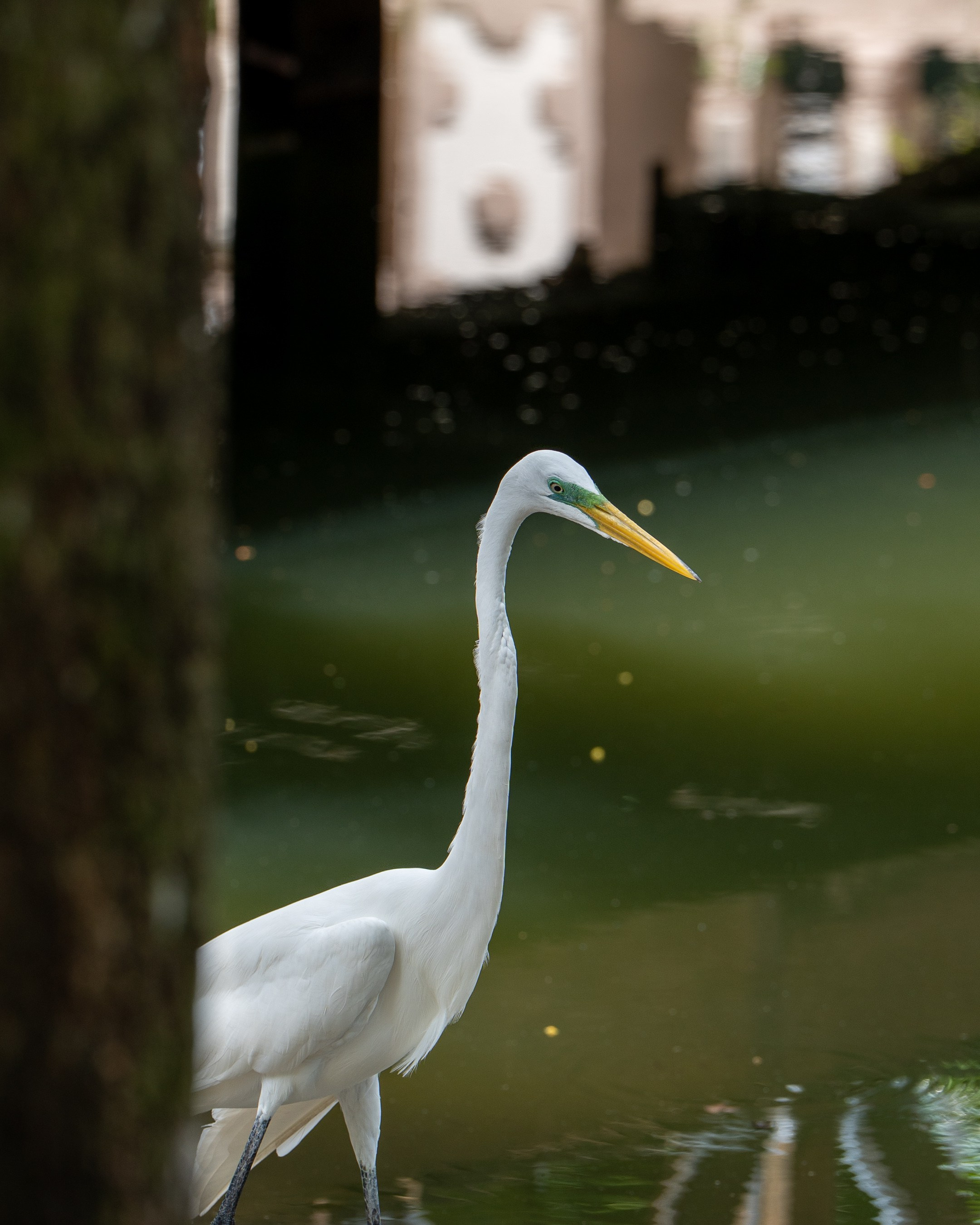 Manno Estúdio — Fotografia e vídeo em Belém