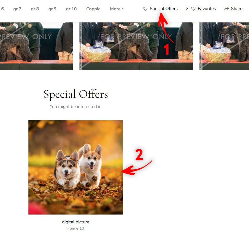 PHOTO ORDER. Yurii Orlyk Photography