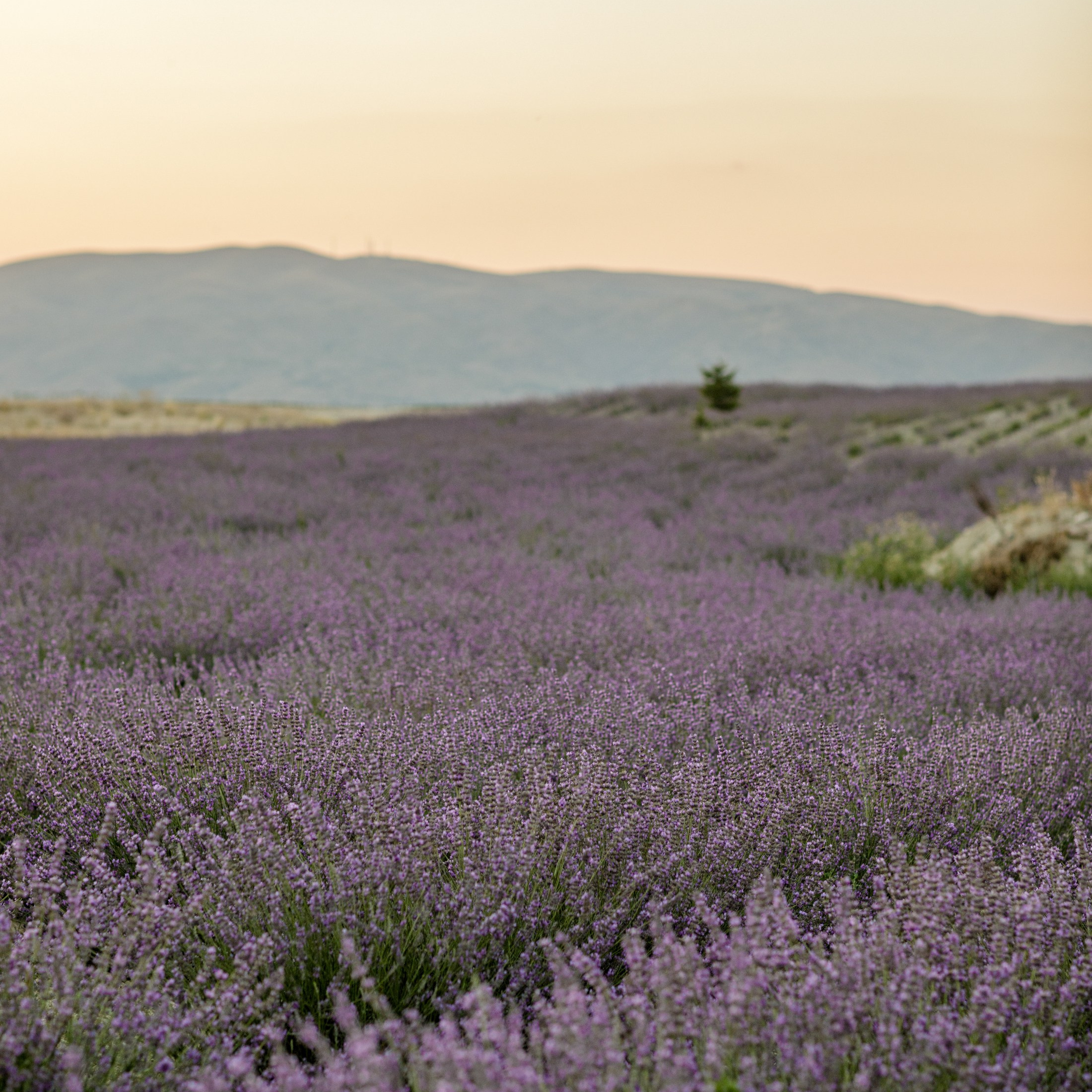 Климат и погода в Каппадокии. Ваш помощник в Каппадокии: Индивидуальные экскурсии, маршруты, полеты на воздушном шаре и другие активности