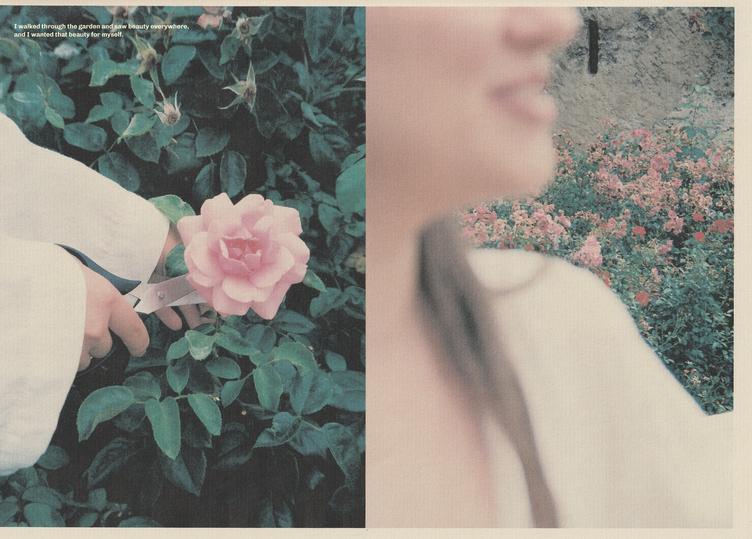 Nature: Through Vulnerability