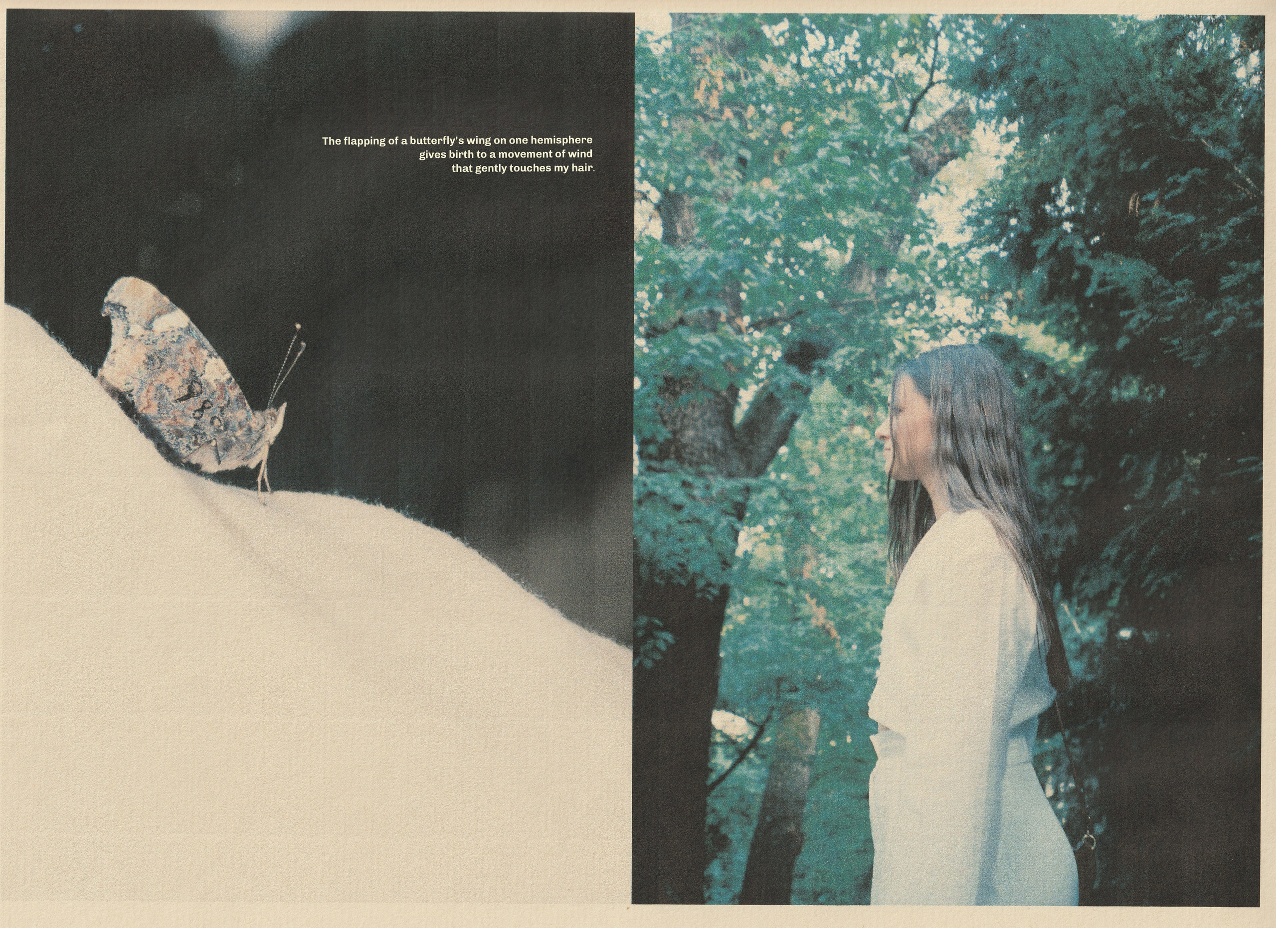 Nature: Through Vulnerability