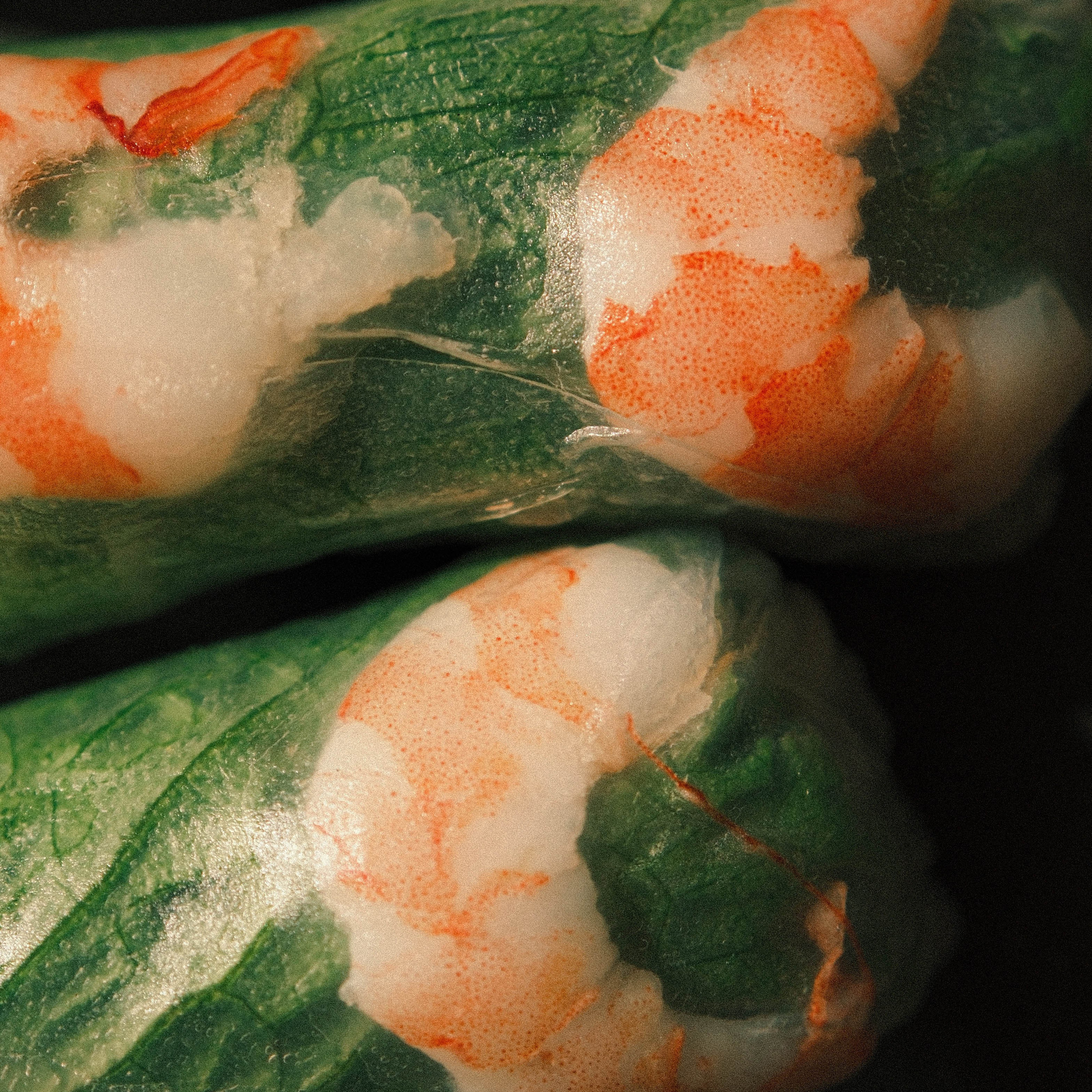 Commercial Food, Beverage & Hospitality Photographer Vancouver| Max Fomin