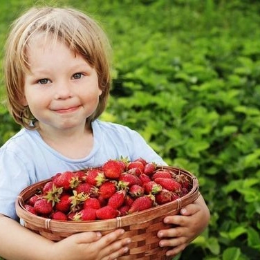 Полуничний фотопікнік 2021. Сімейний фотограф Київ Наталія Шкаврон