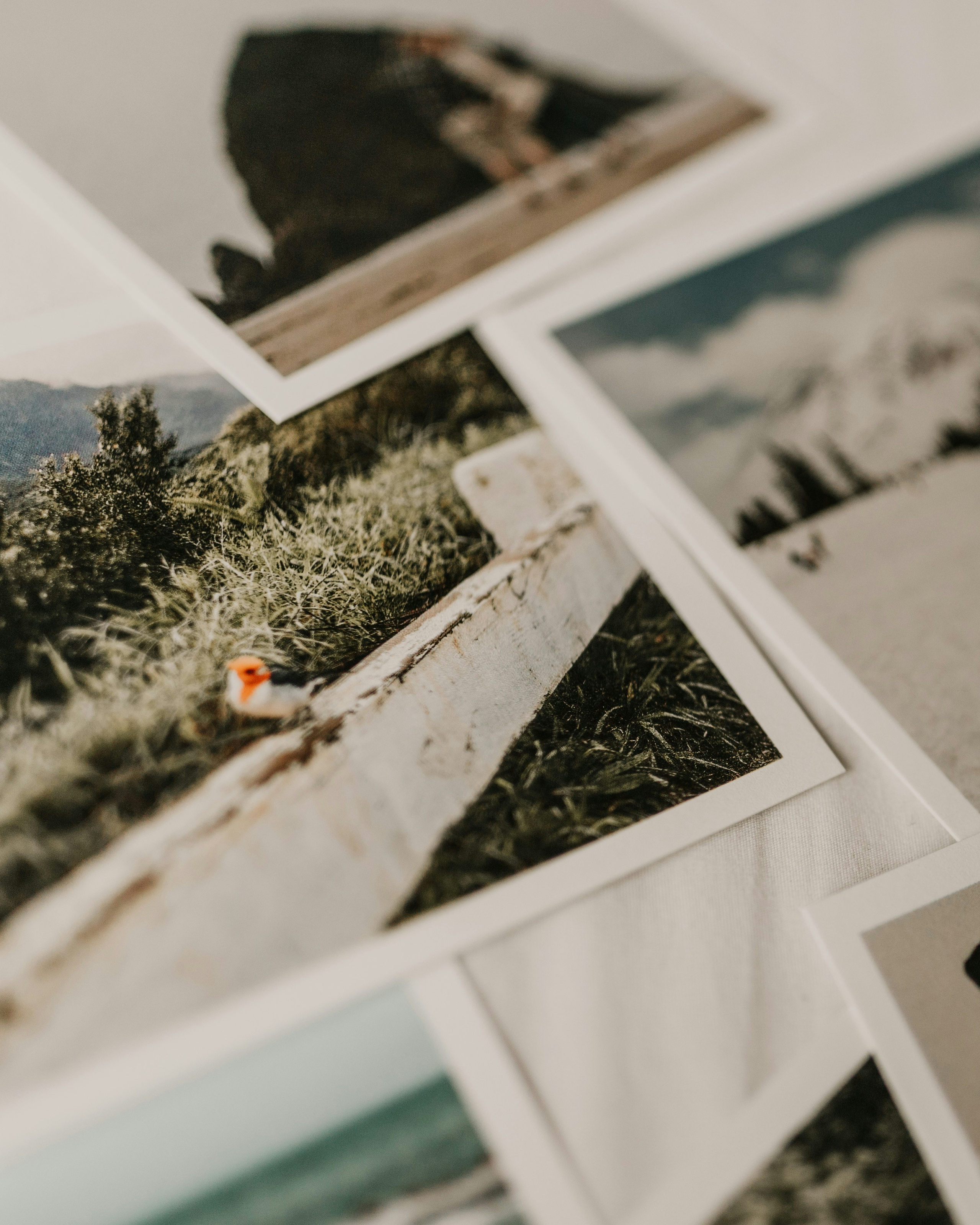 Photography | Videography | Marketing