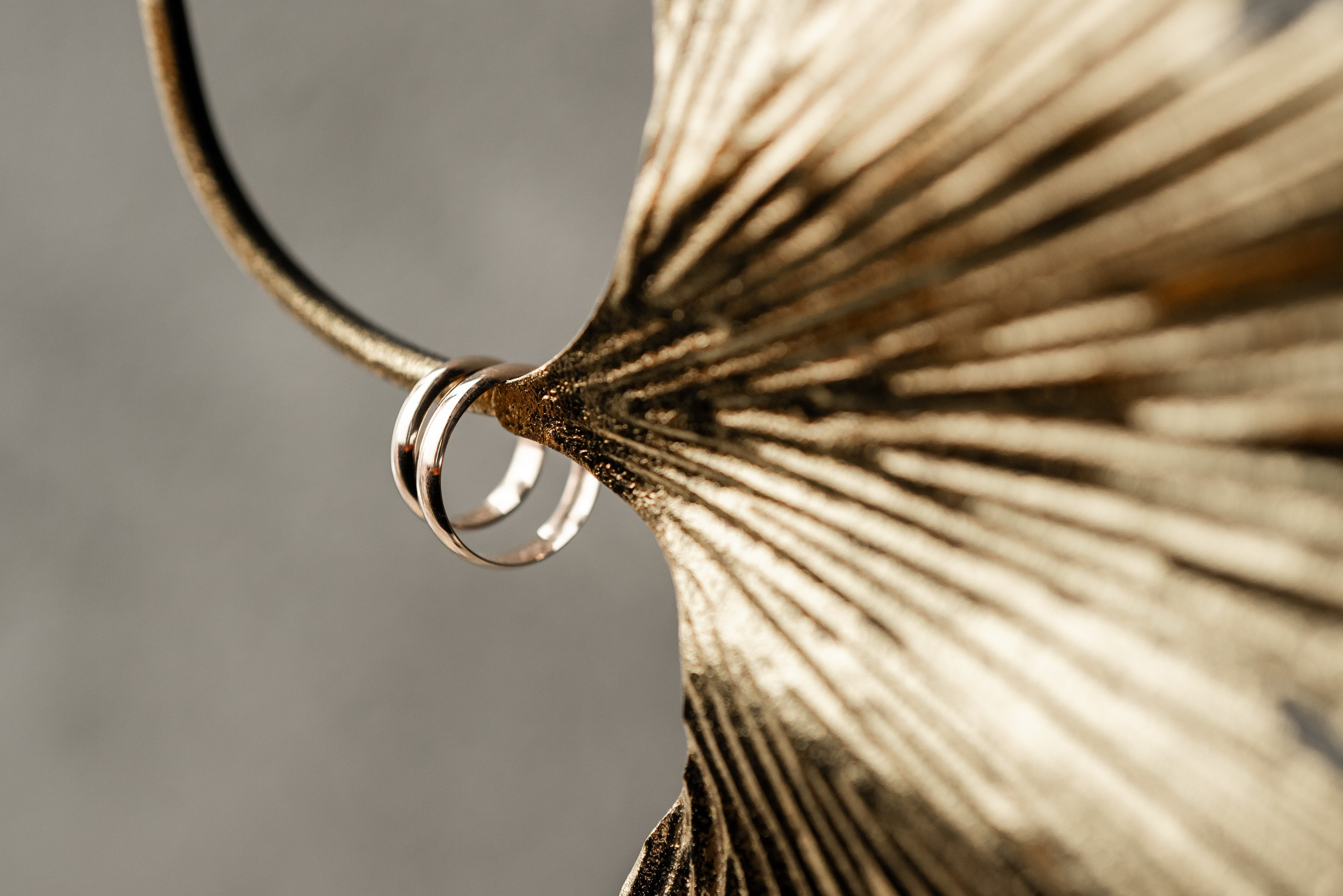 Услуги свадьба. Ekaterina Verbitskaya. Photography