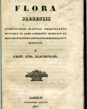 Počeci botanike u Dalmaciji. Herbarij studio